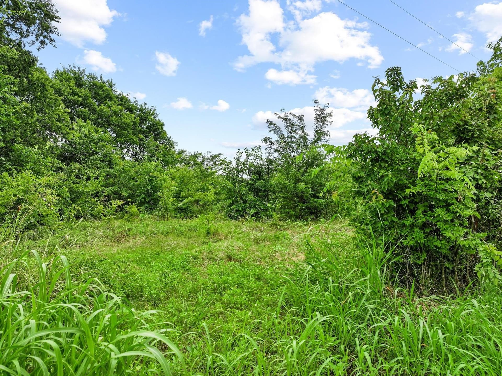 41.58 acres in Lamar County - photo 36