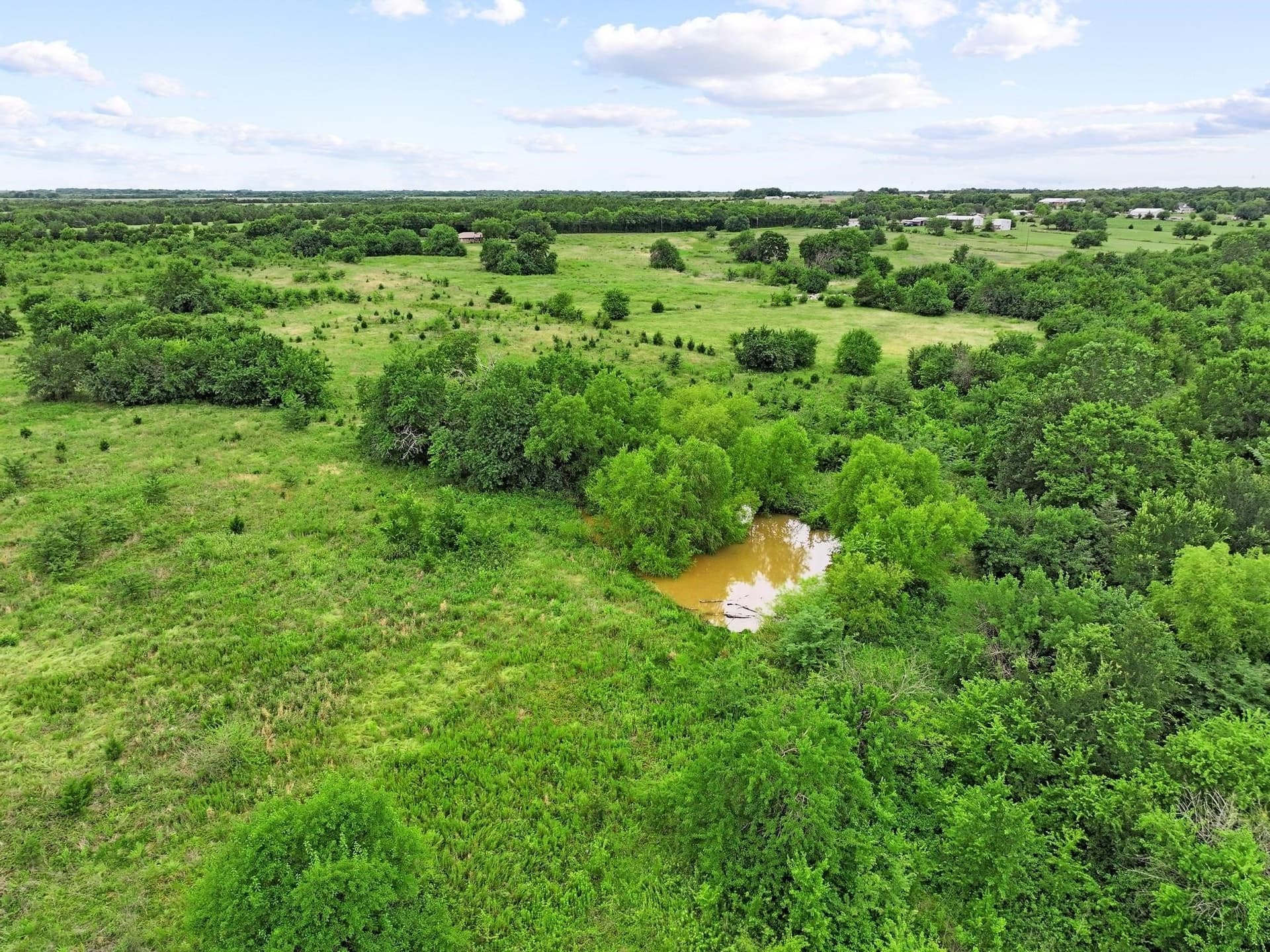 41.58 acres in Lamar County gallery image 4