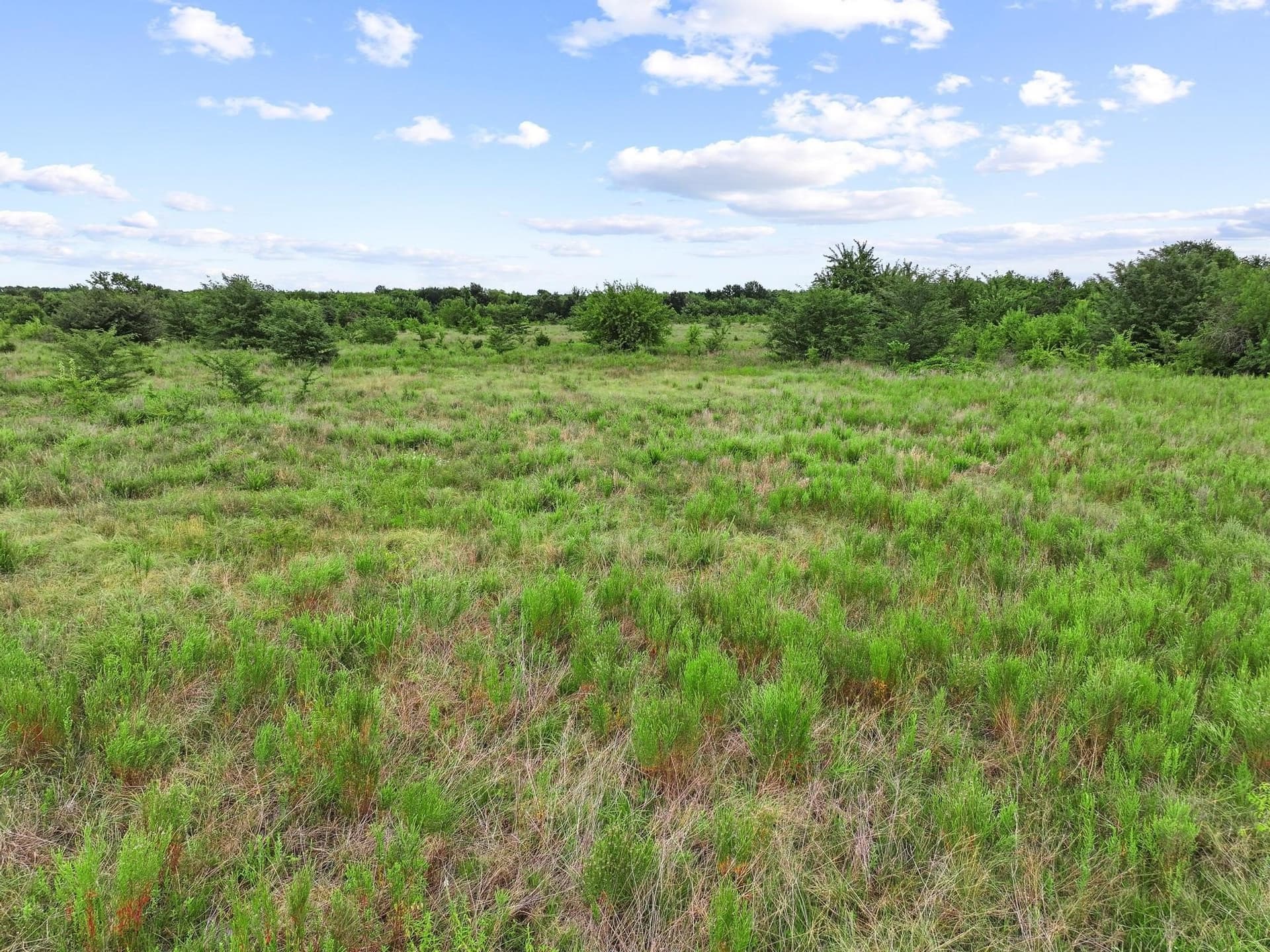 41.58 acres in Lamar County - photo 32