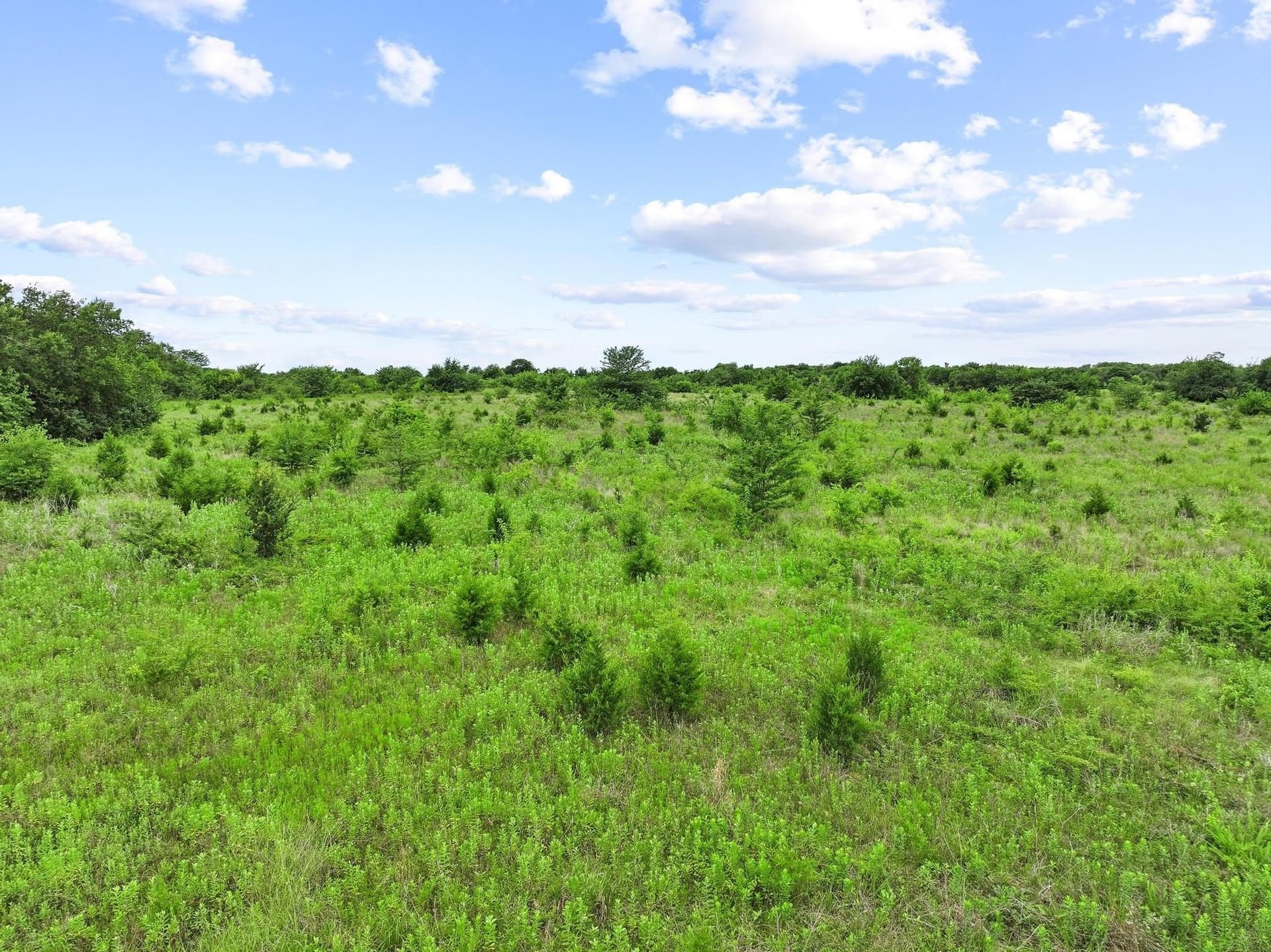 41.58 acres in Lamar County - photo 25