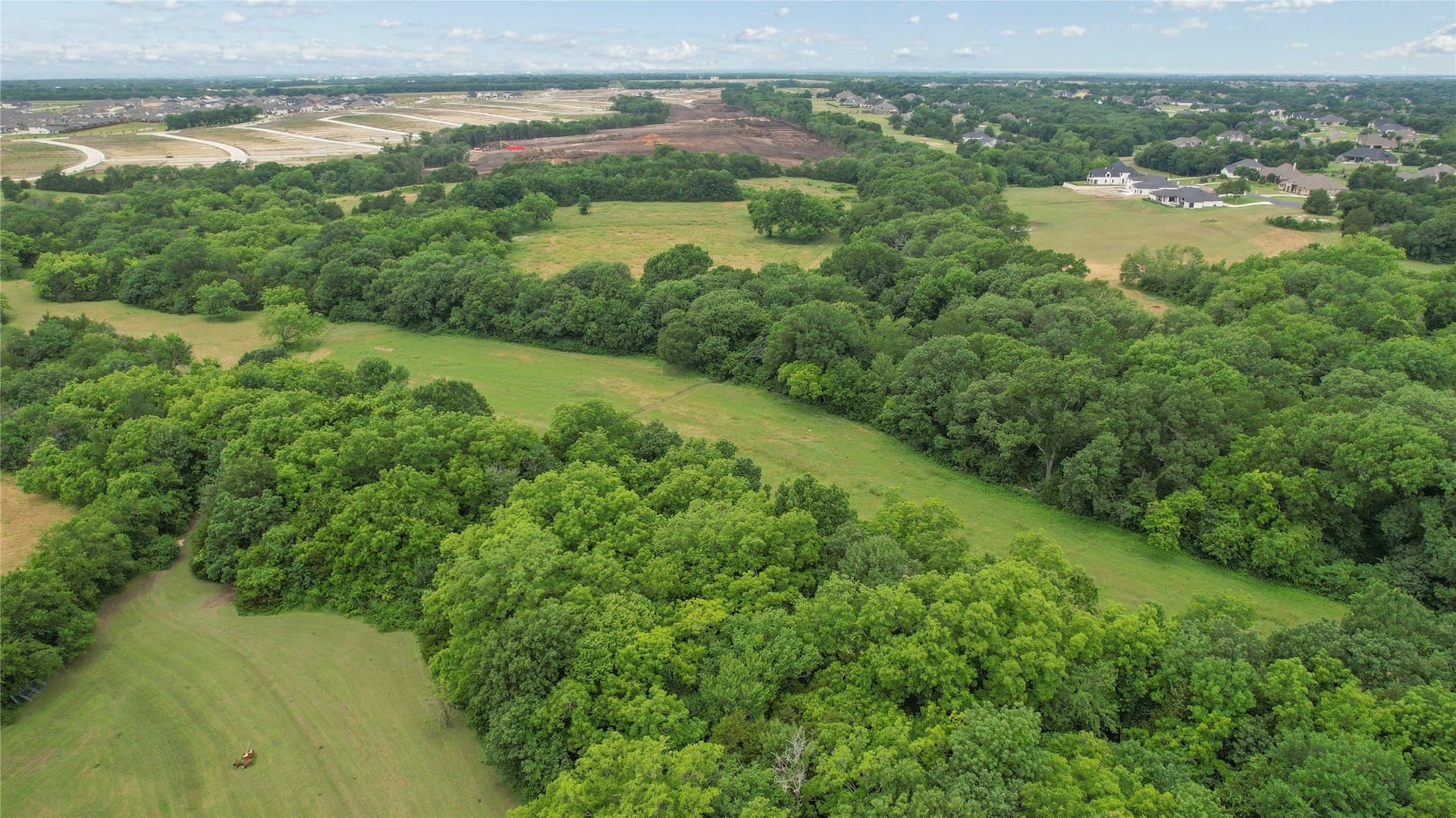 31.5 acres in Collin County - photo 19