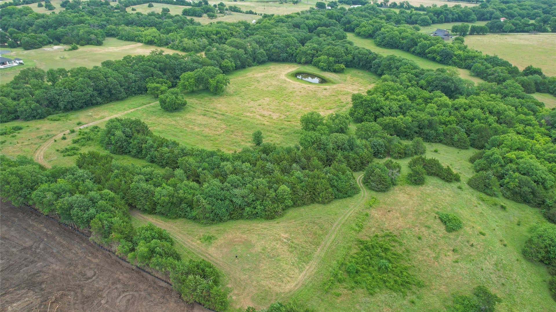 31.5 acres in Collin County - photo 26