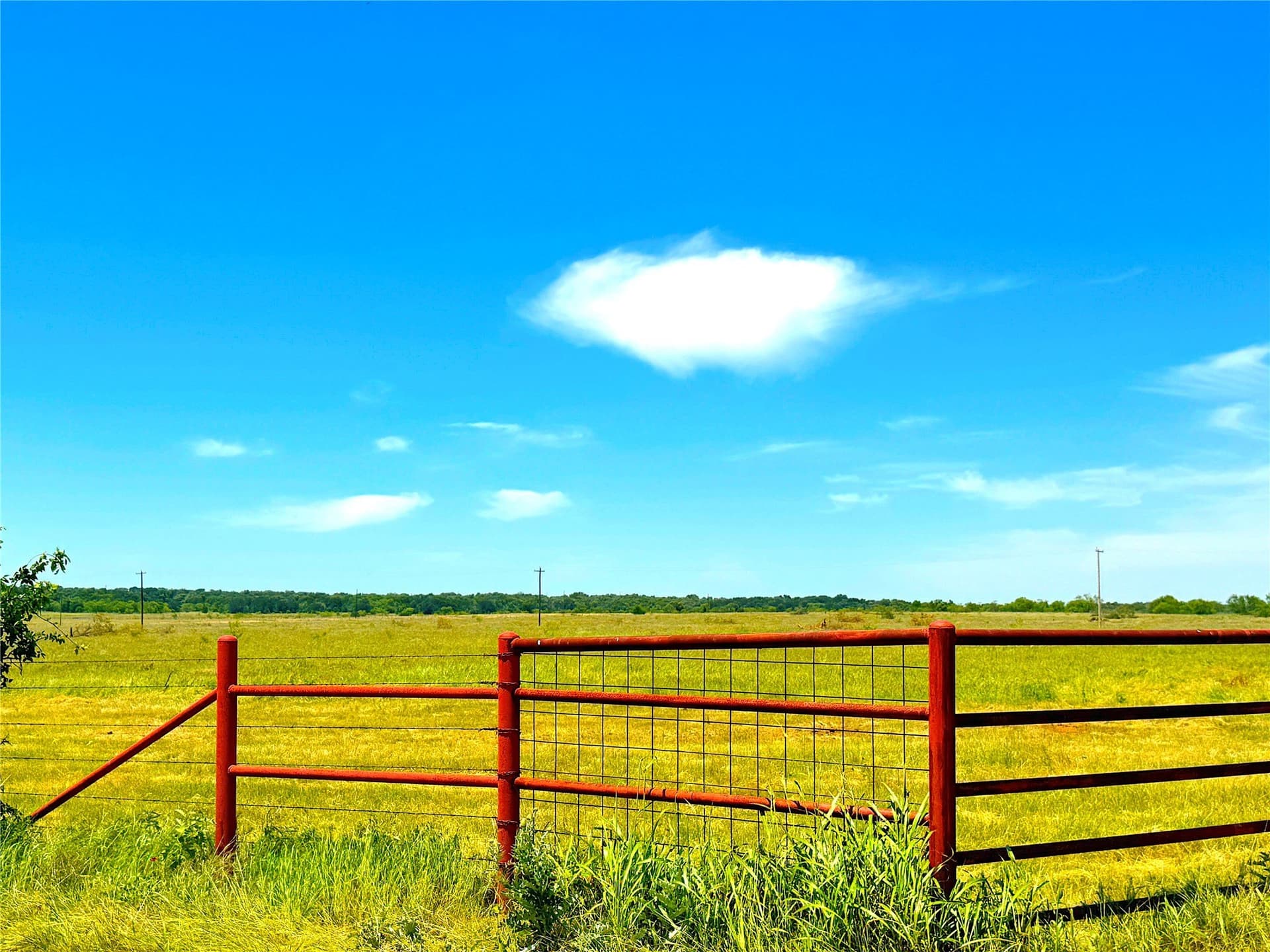 41 acres in Parker County - photo 7