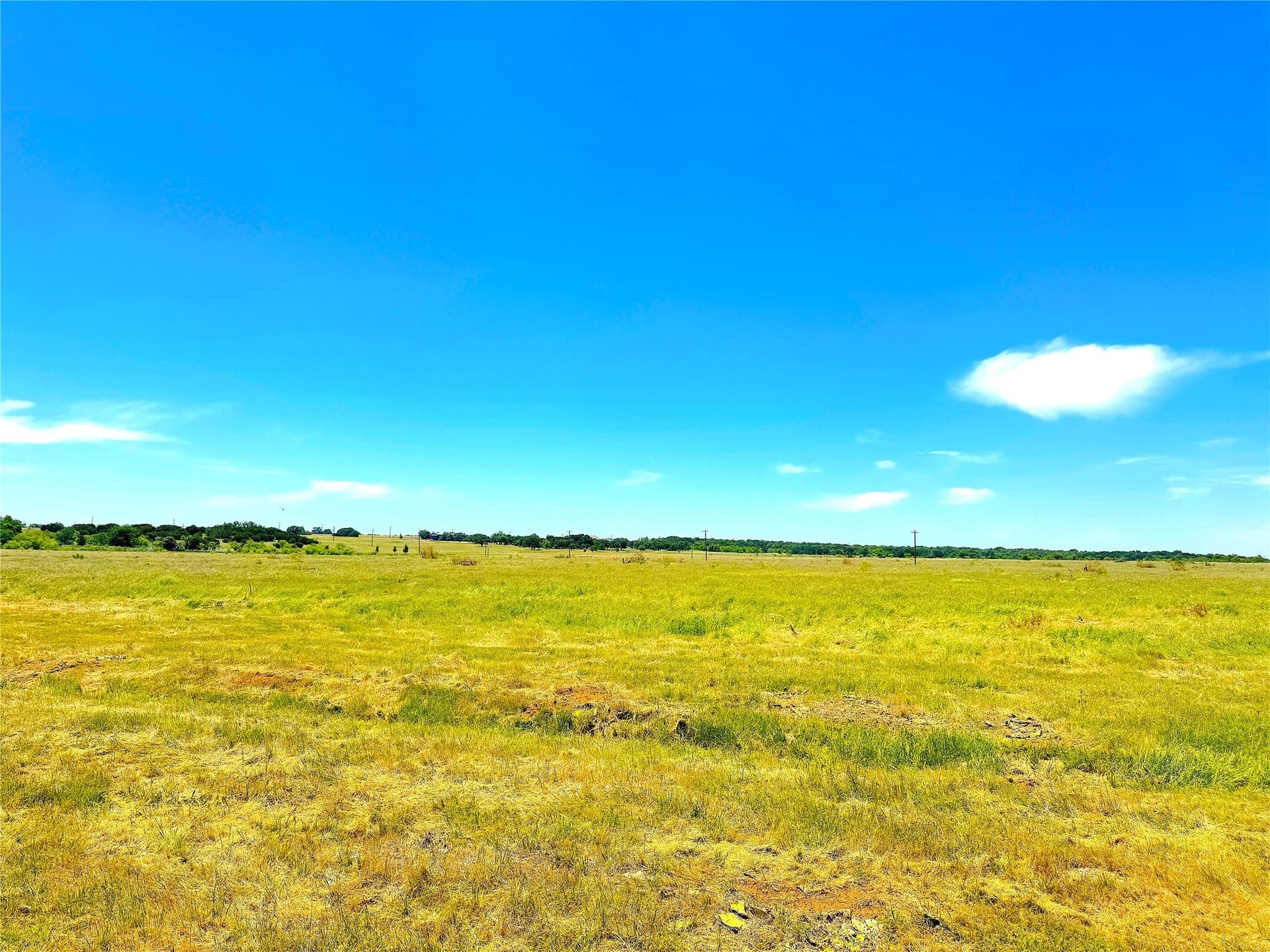 41 acres in Parker County - photo 18