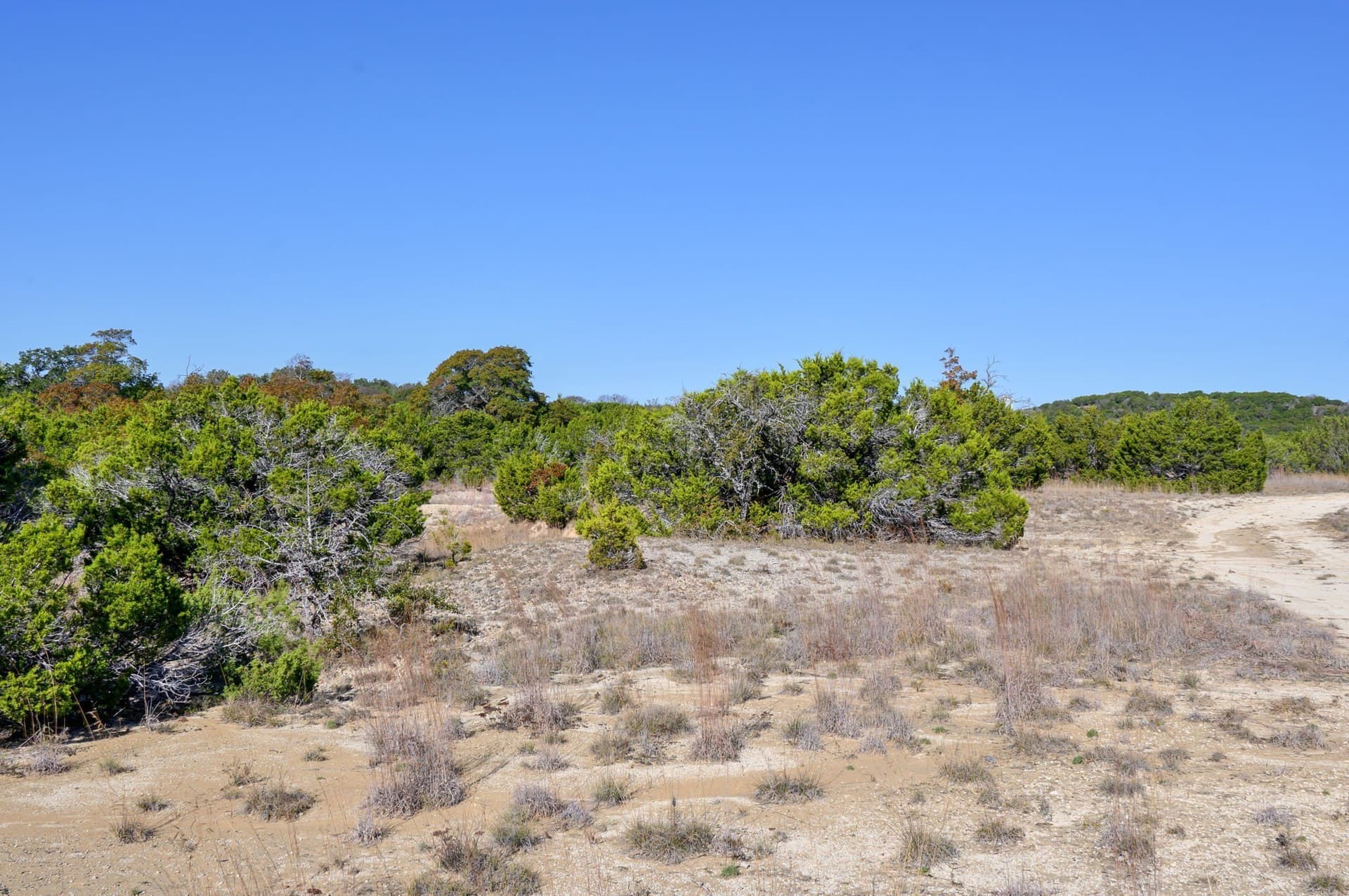 97.5 acres in Bosque County - photo 27