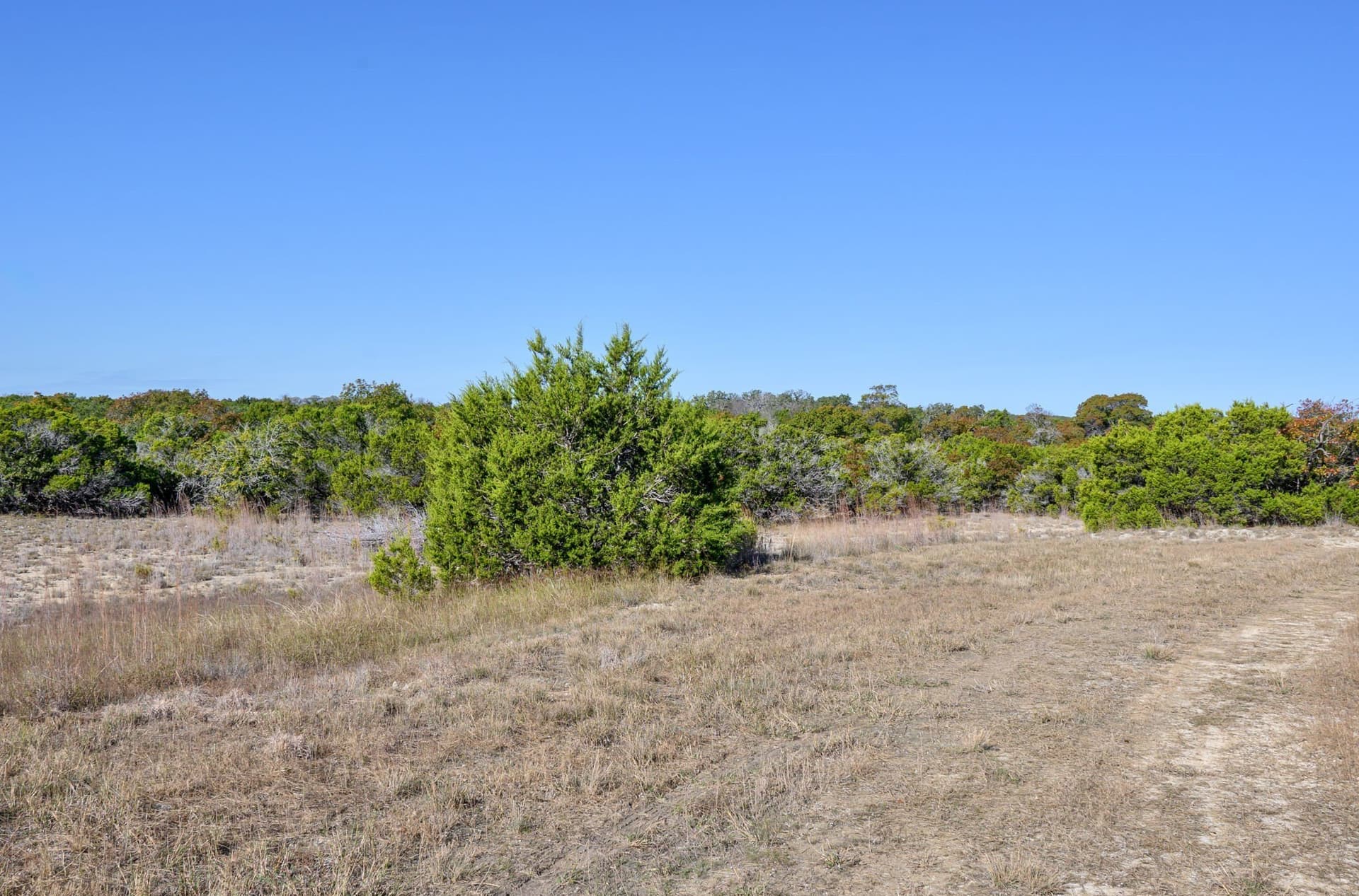97.5 acres in Bosque County - photo 26