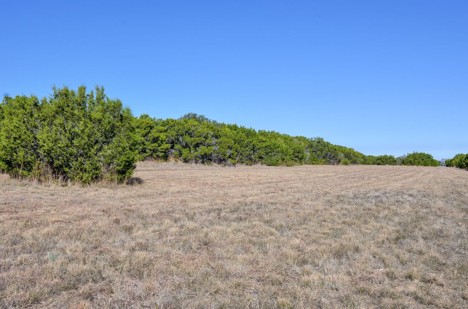 97.5 acres in Bosque County - photo 39
