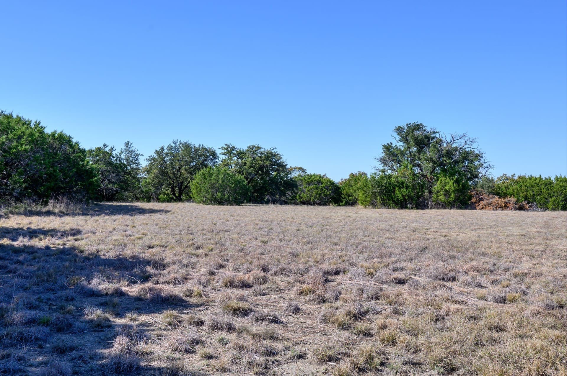 97.5 acres in Bosque County - photo 37