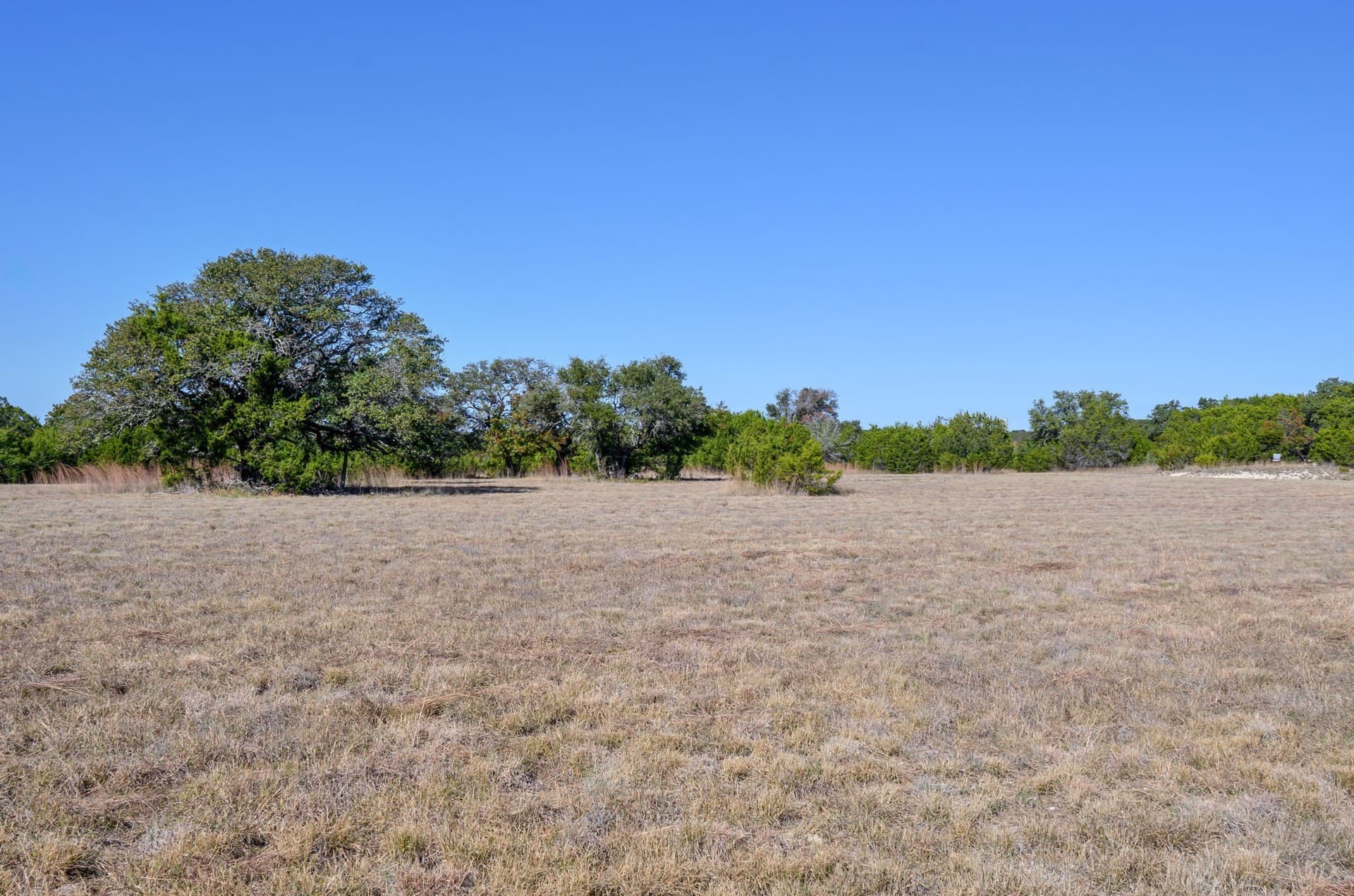 97.5 acres in Bosque County - photo 38