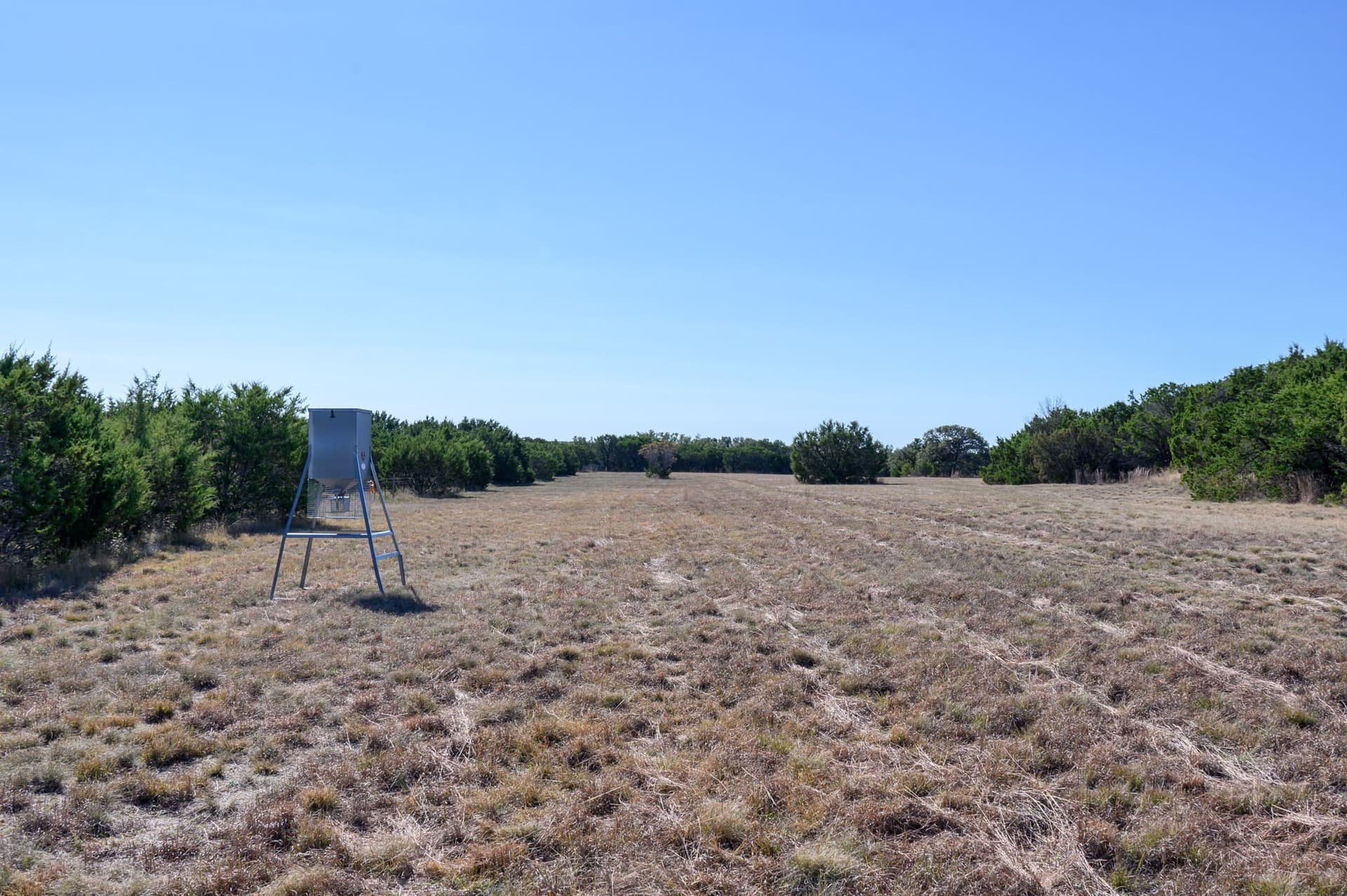 97.5 acres in Bosque County - photo 40