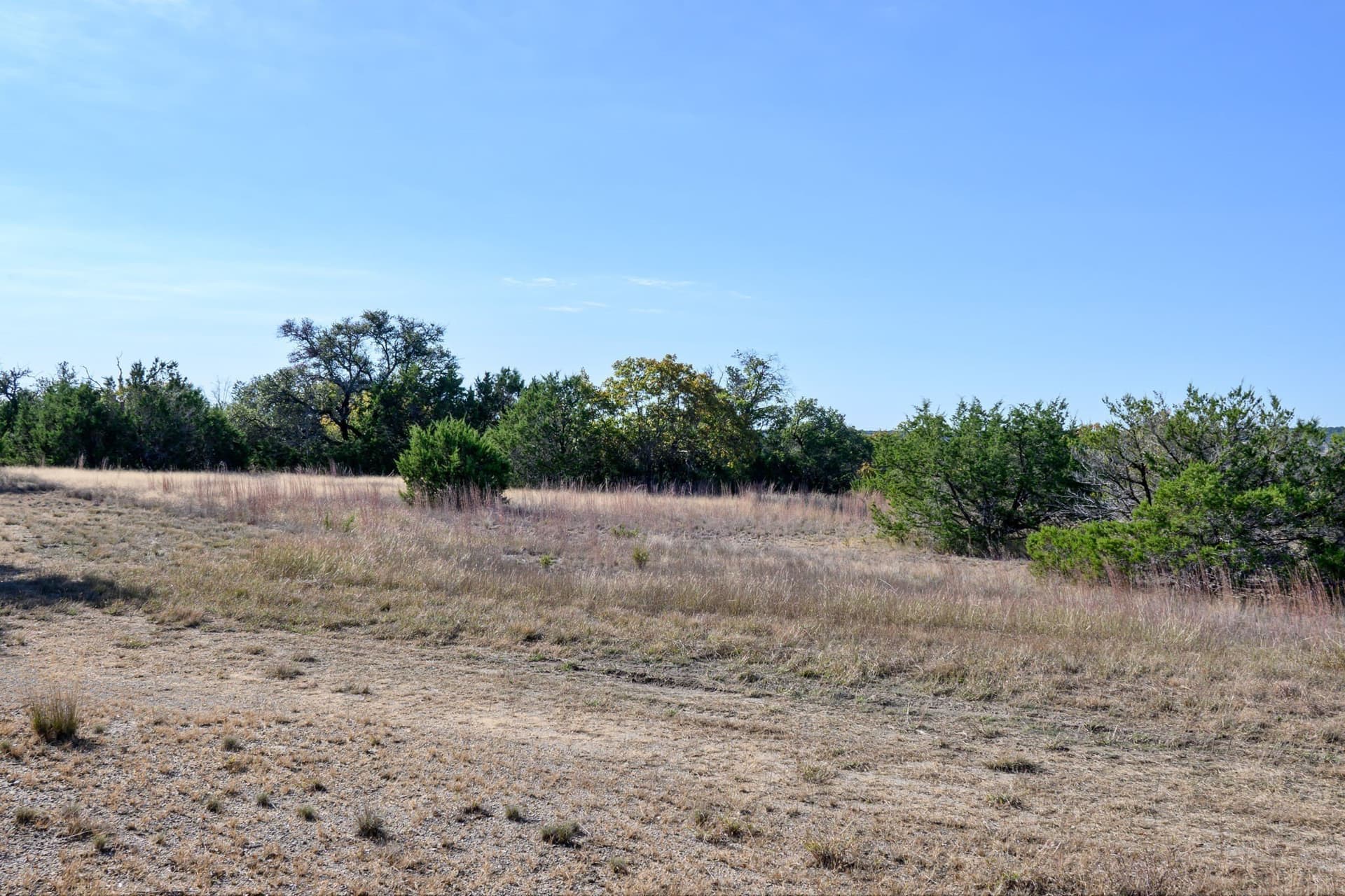 97.5 acres in Bosque County - photo 25