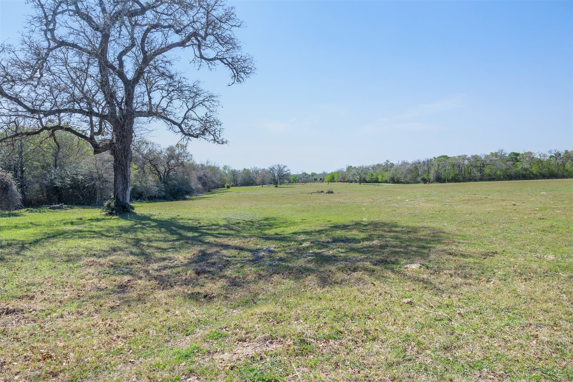 285 acres in Milam County - photo 15