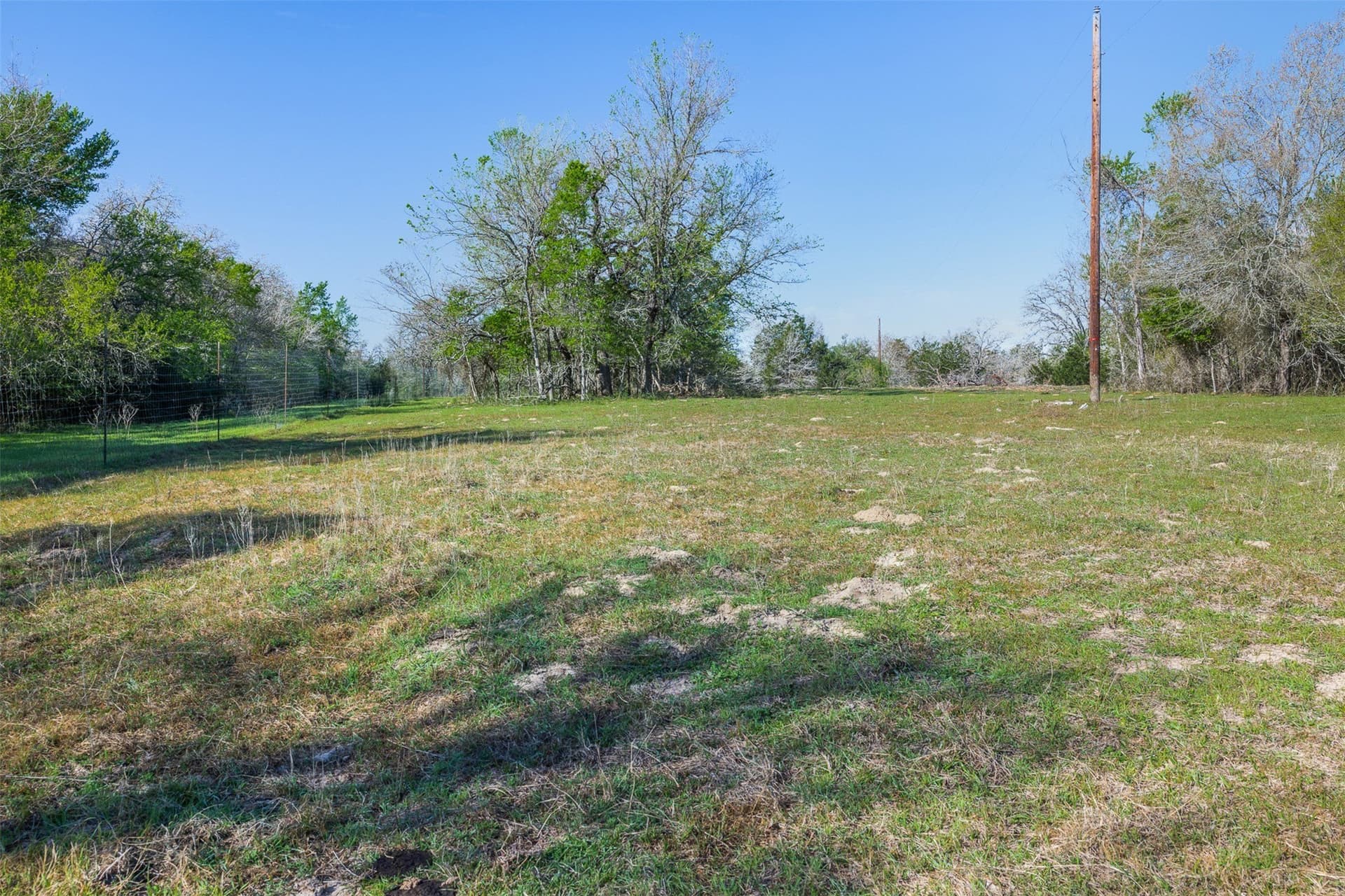 285 acres in Milam County - photo 4