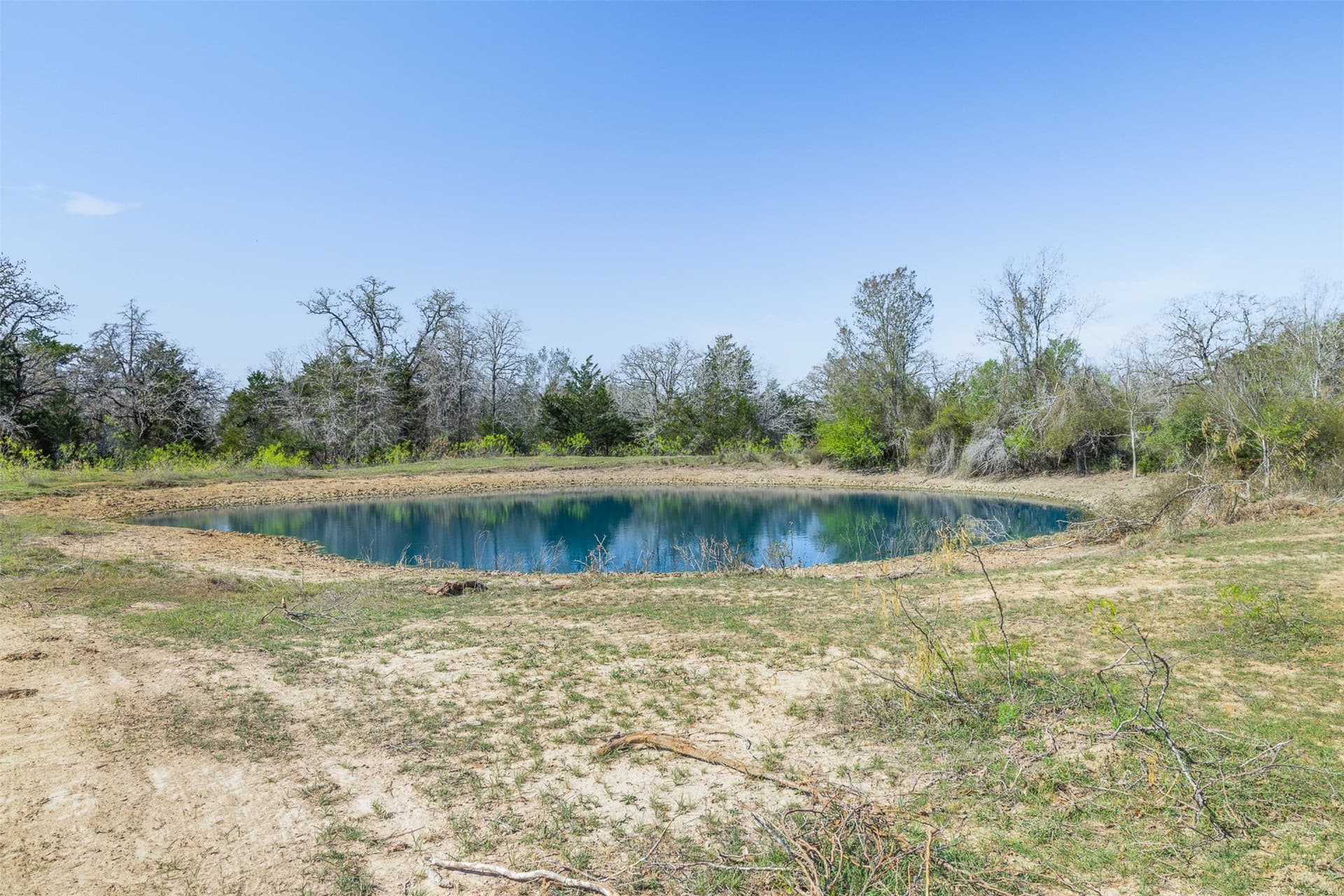 285 acres in Milam County - photo 14