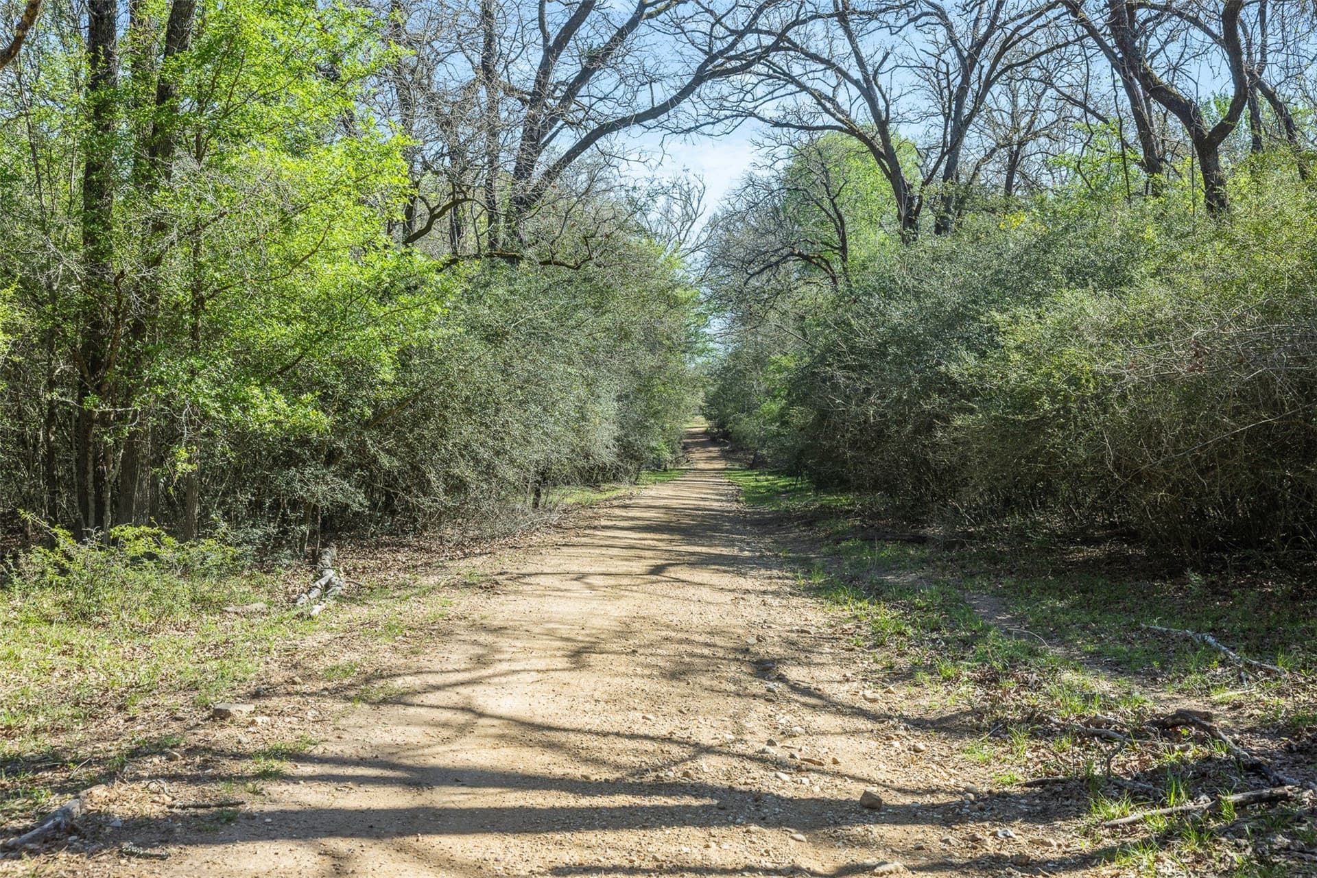 285 acres in Milam County - photo 12