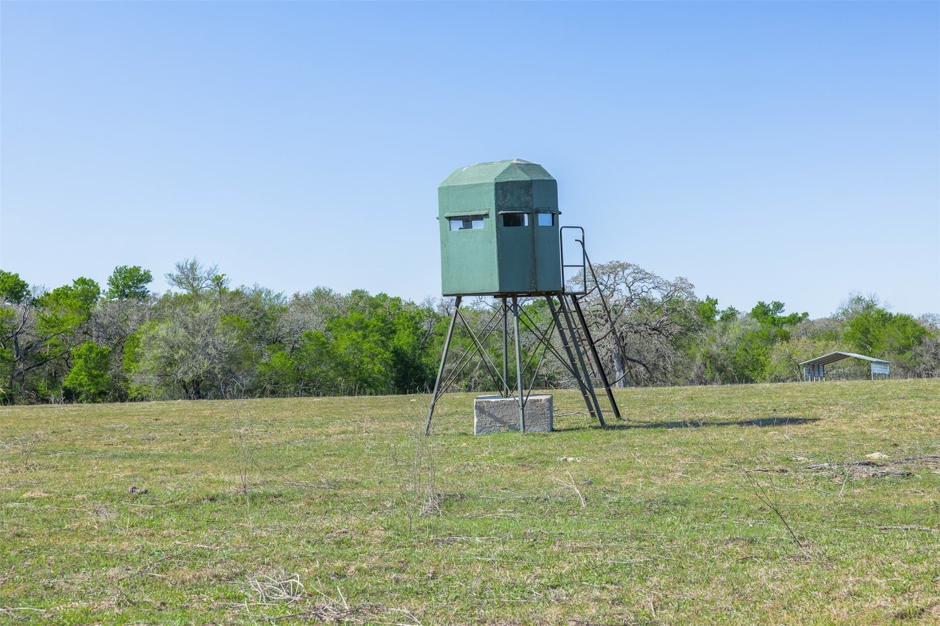 285 acres in Milam County - photo 11