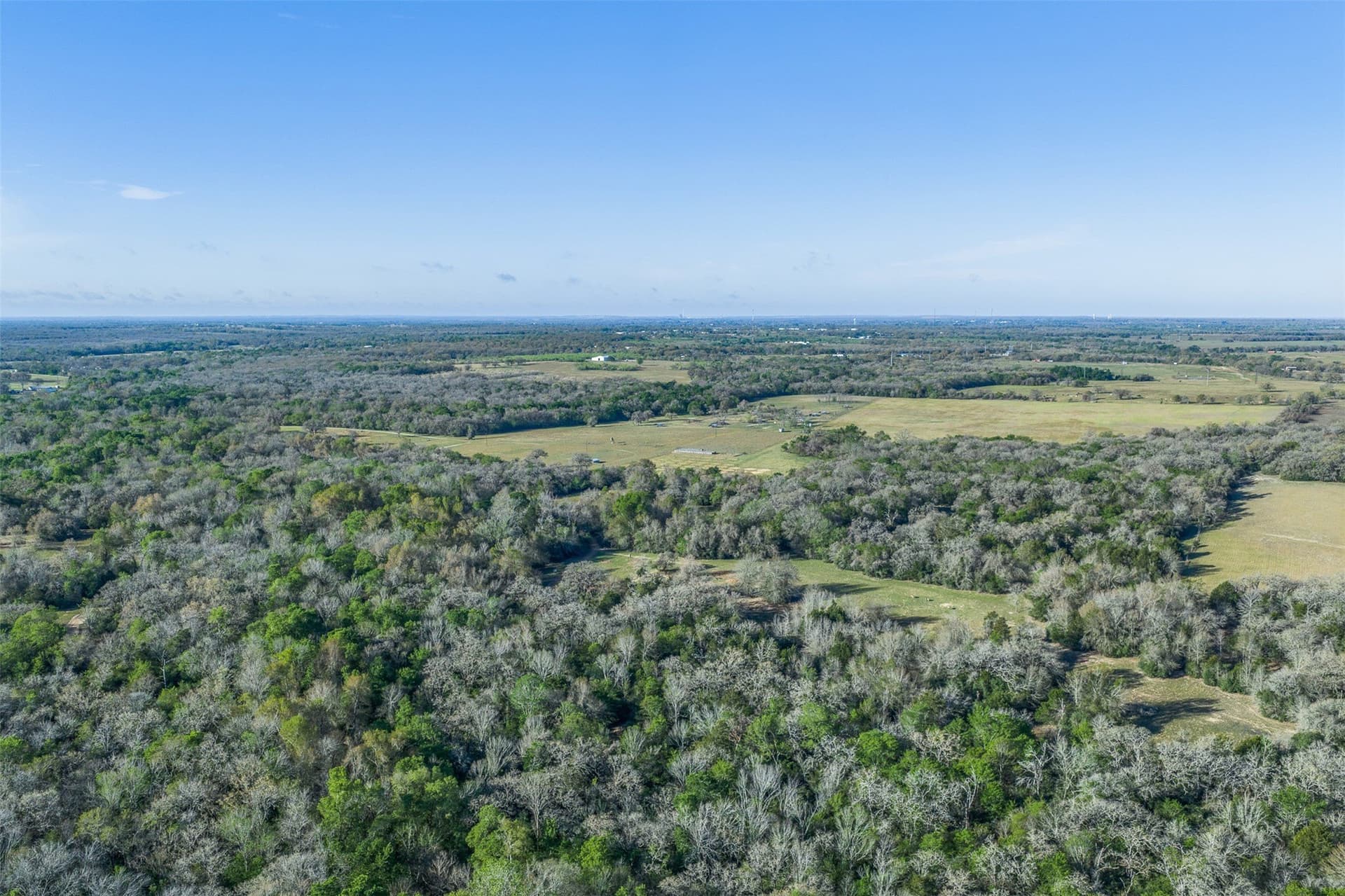 285 acres in Milam County - photo 20