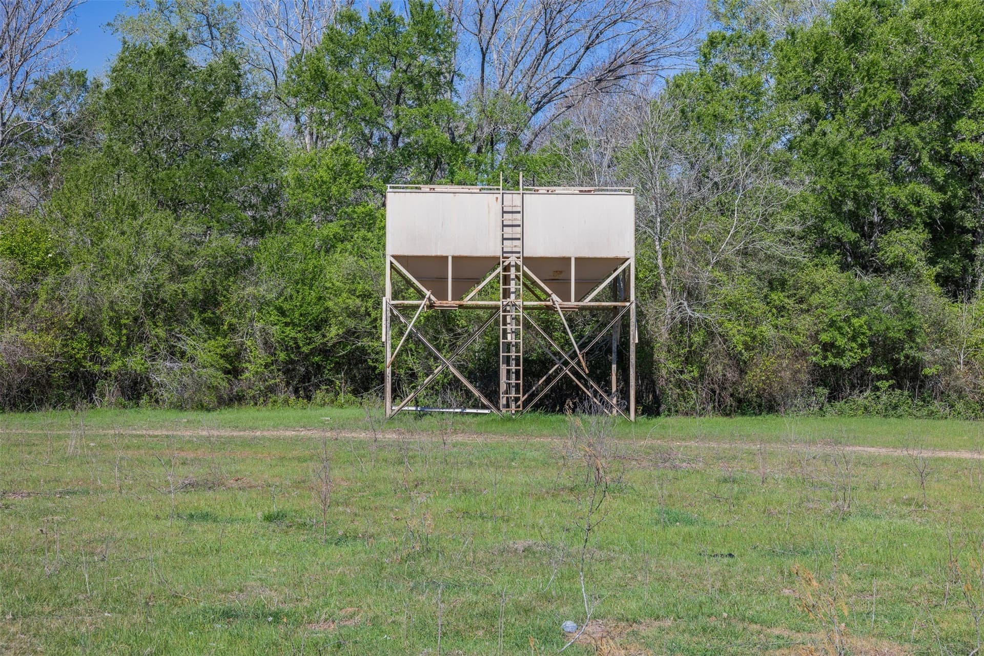 285 acres in Milam County - photo 7