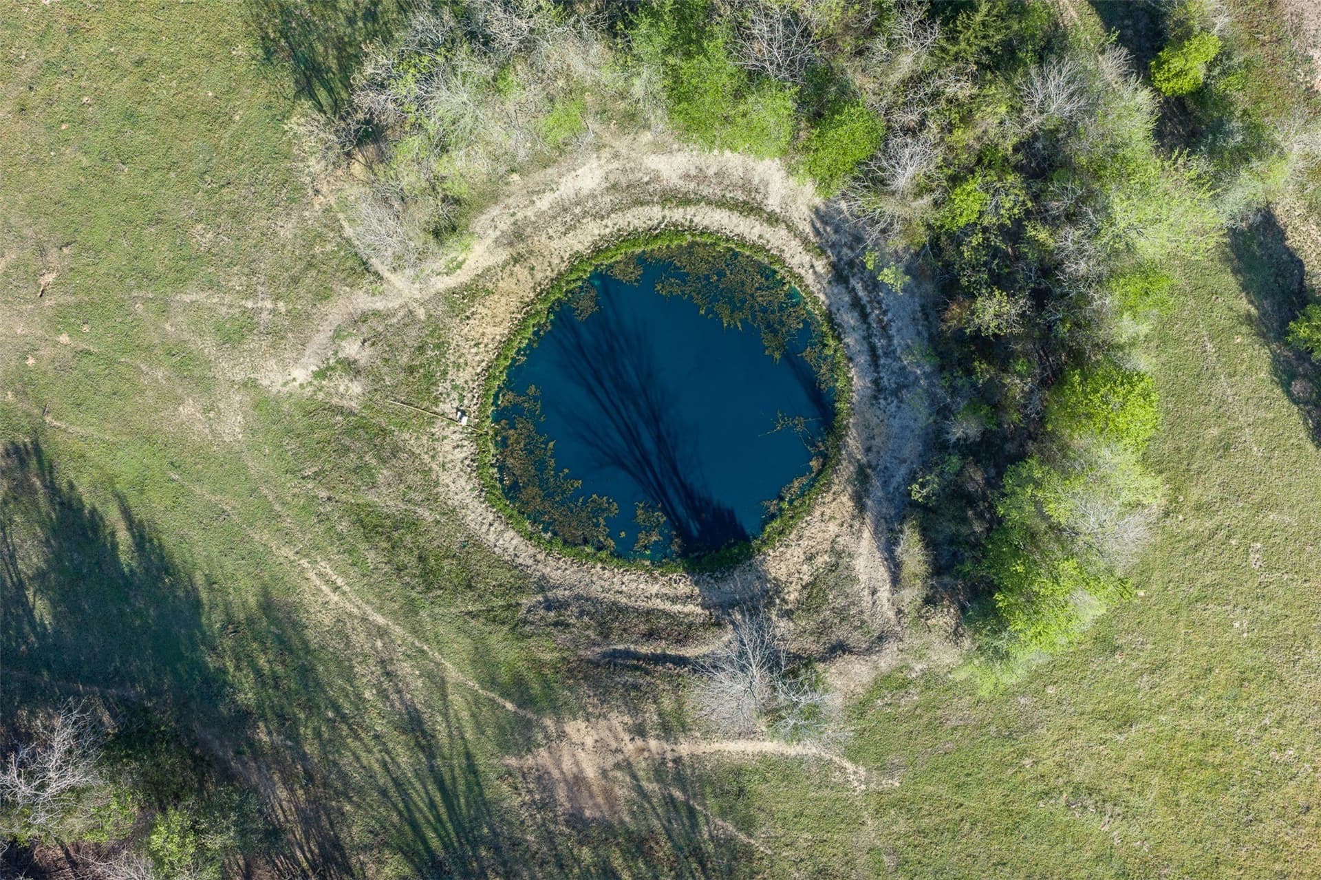 285 acres in Milam County - photo 24