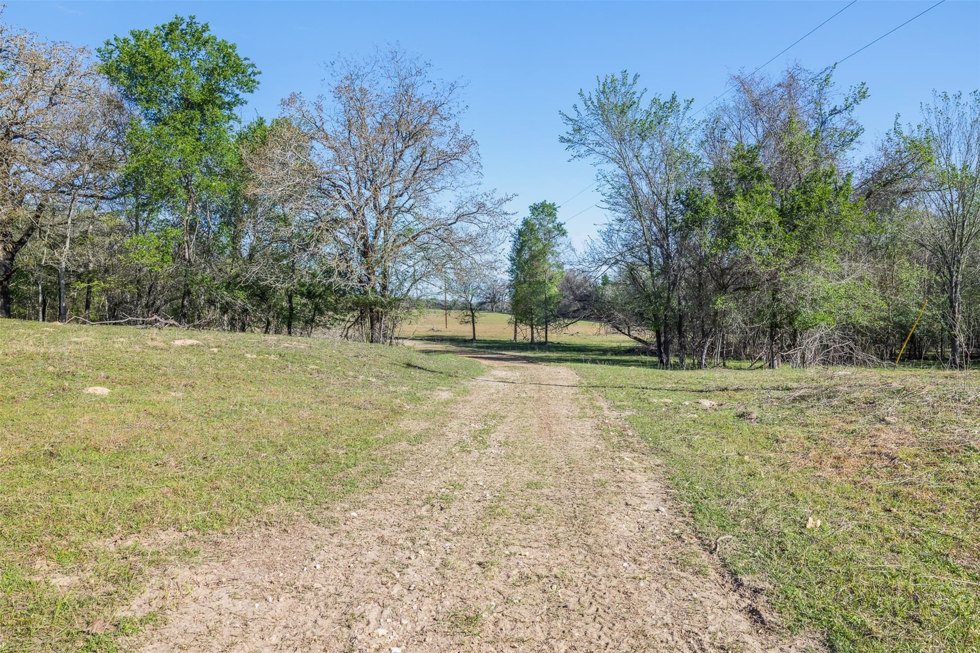 285 acres in Milam County - photo 3