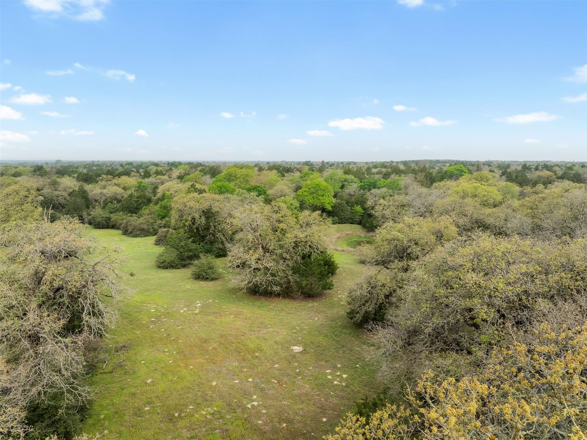 285 acres in Milam County - photo 32