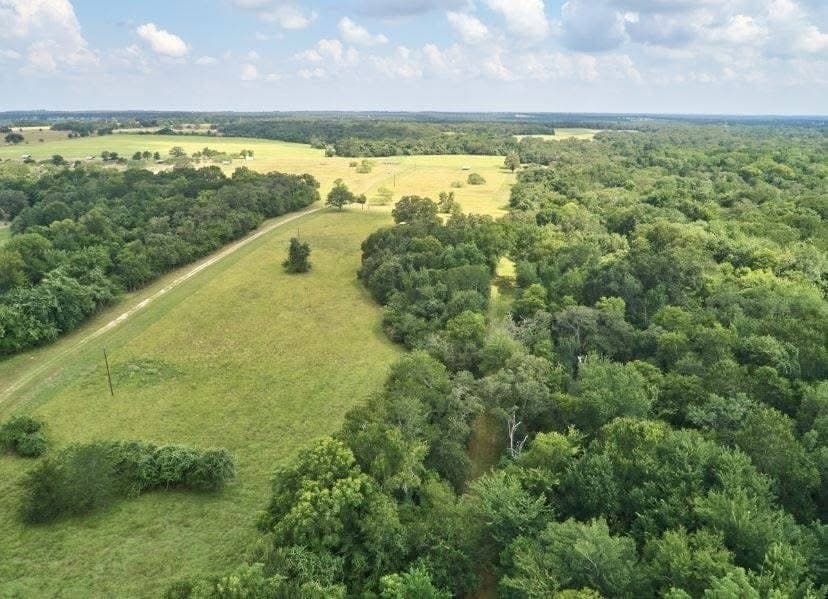 285 acres in Milam County - photo 33