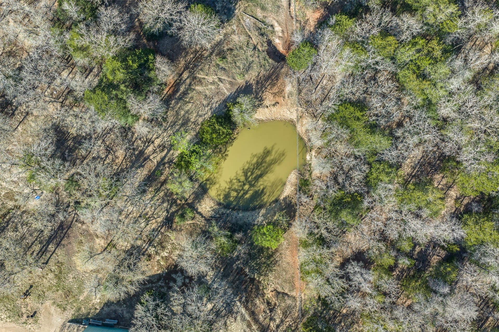 285 acres in Milam County - photo 30