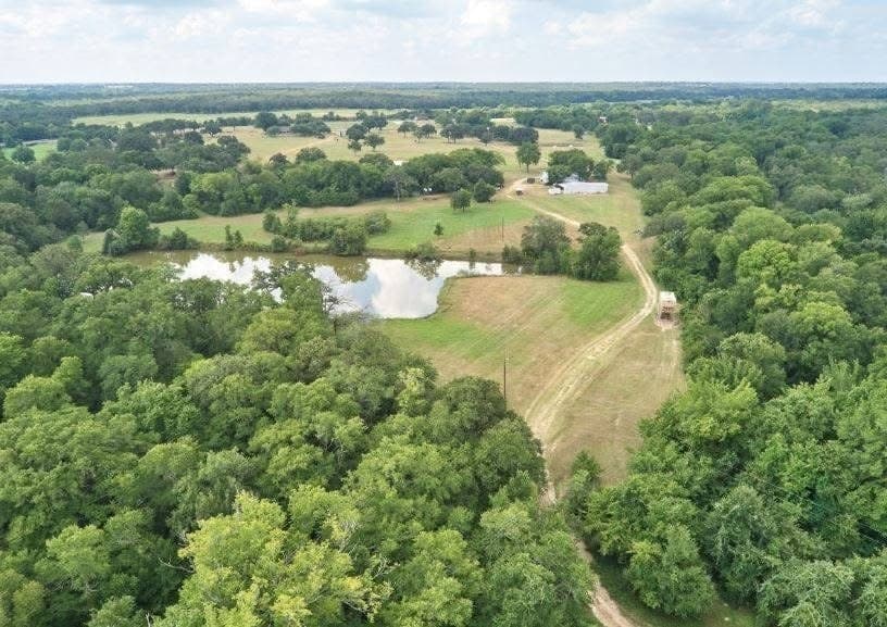 285 acres in Milam County - photo 34