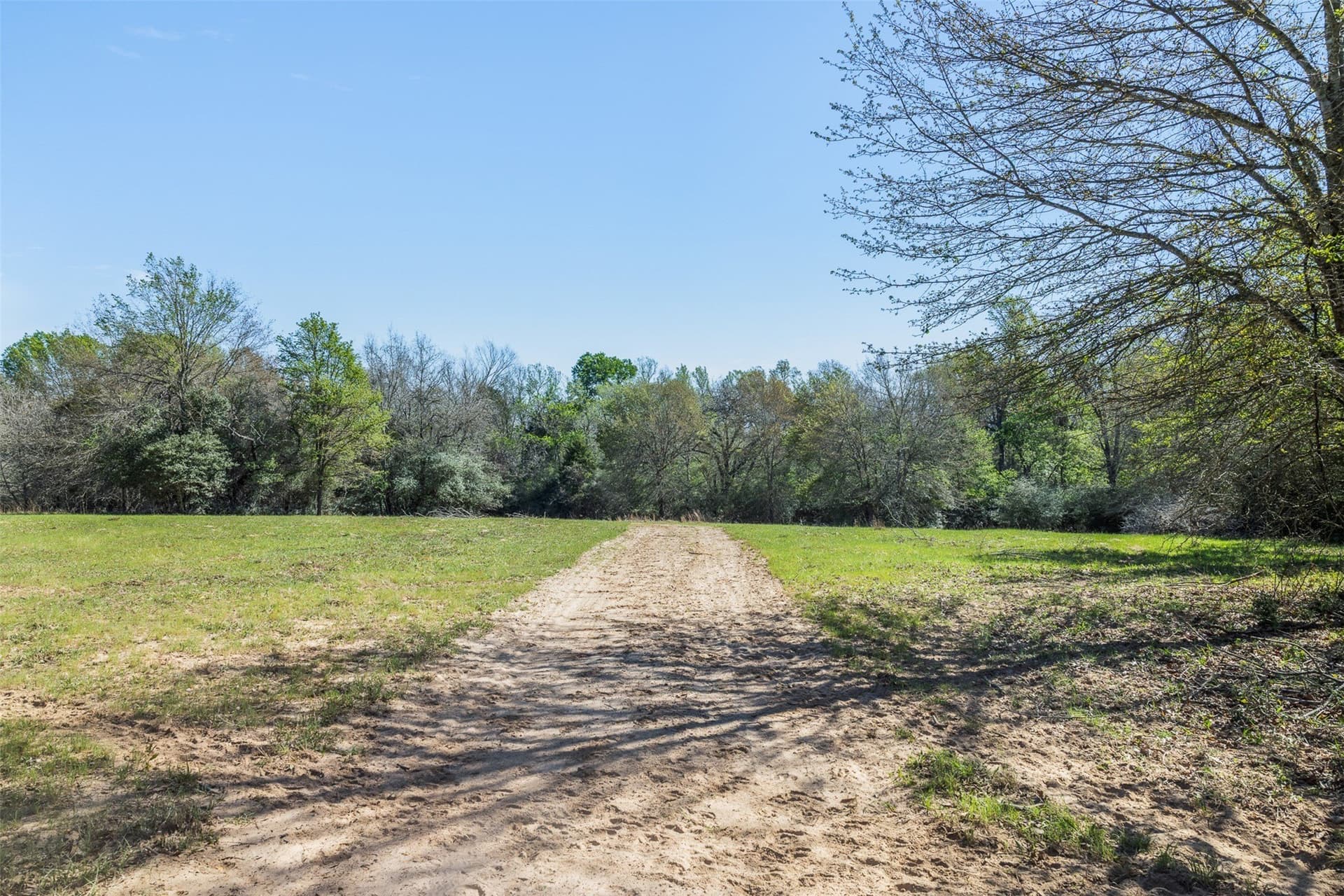 285 acres in Milam County - photo 16