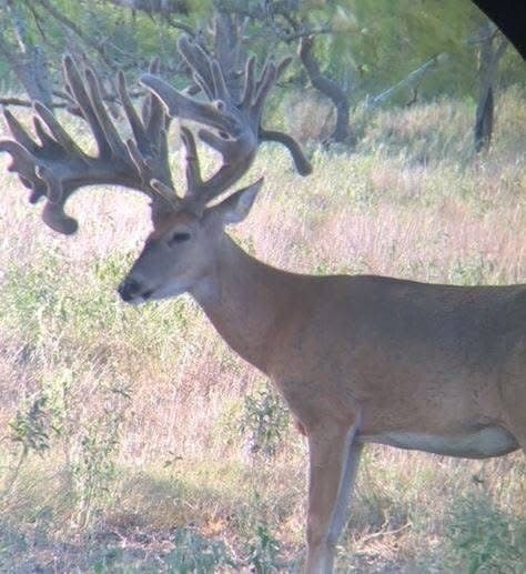 285 acres in Milam County - photo 38