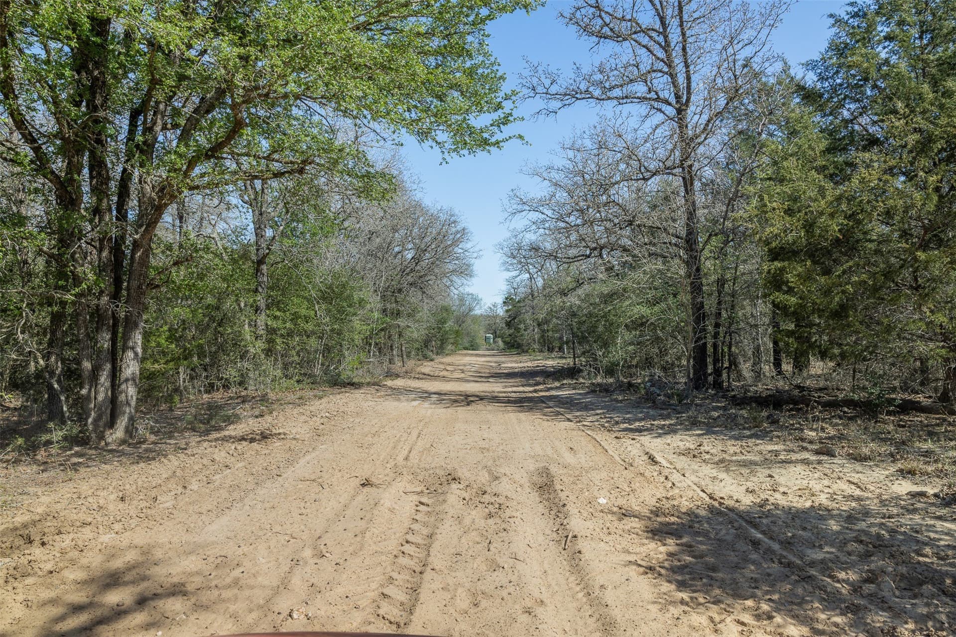 285 acres in Milam County - photo 17