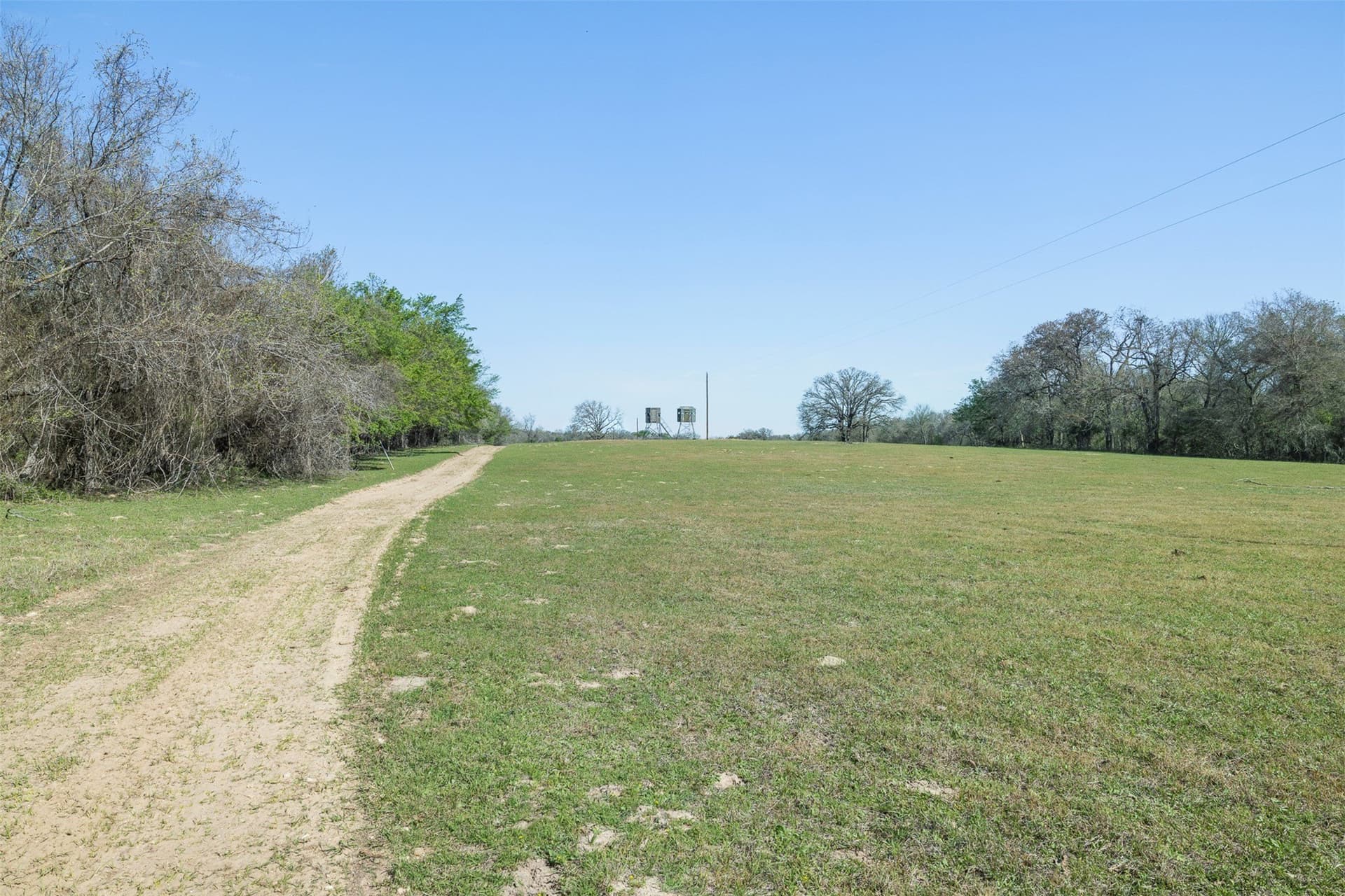 285 acres in Milam County - photo 8
