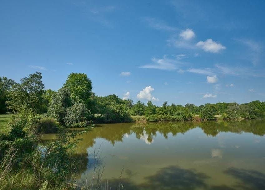 285 acres in Milam County - photo 39