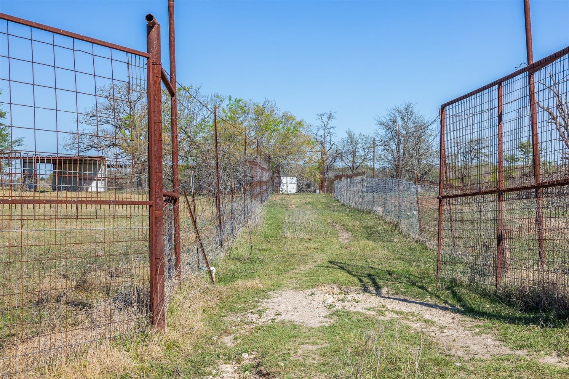 285 acres in Milam County - photo 9