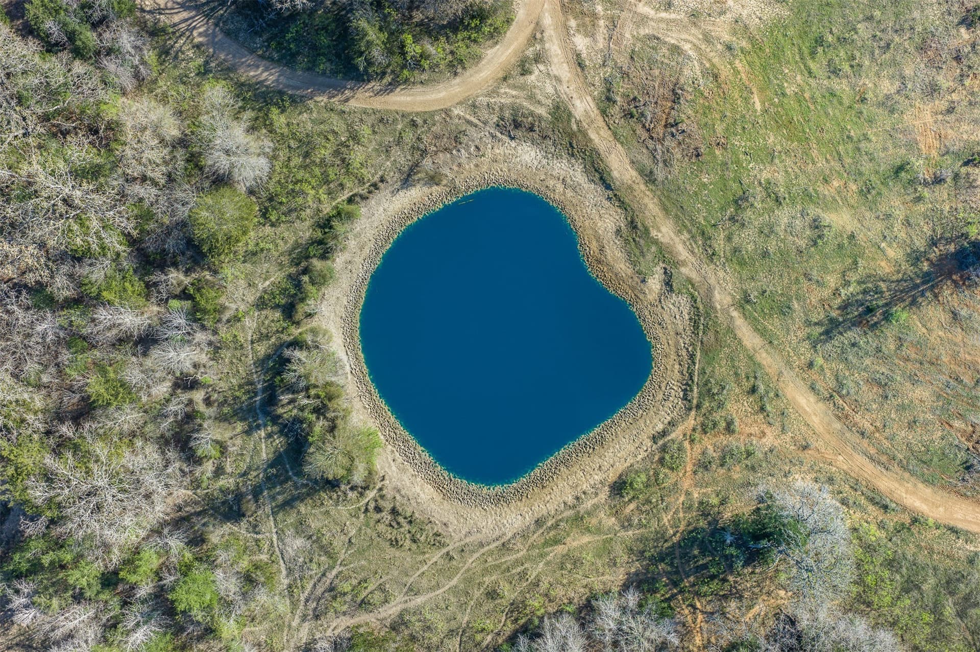 285 acres in Milam County - photo 25