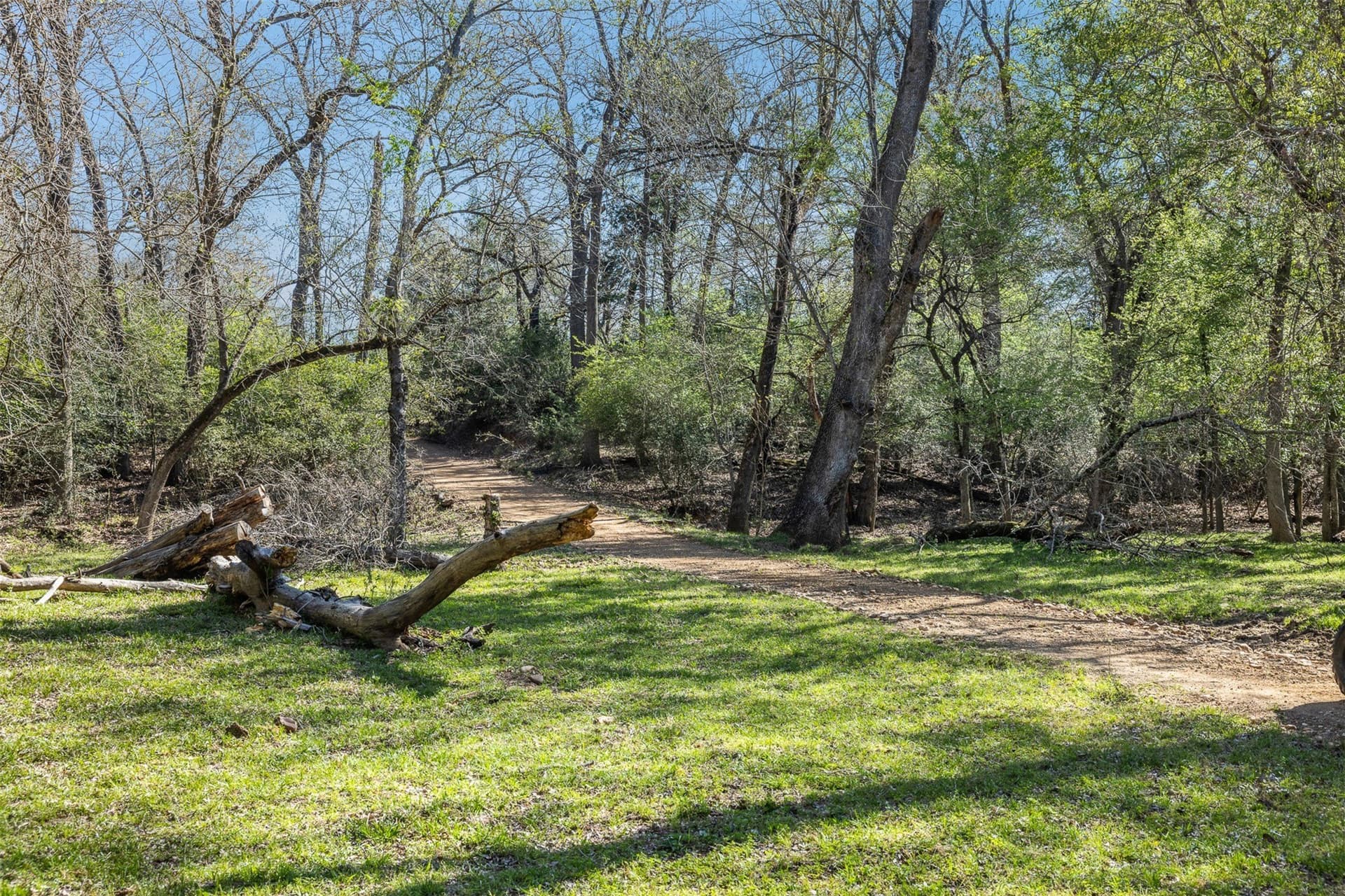 285 acres in Milam County - photo 13