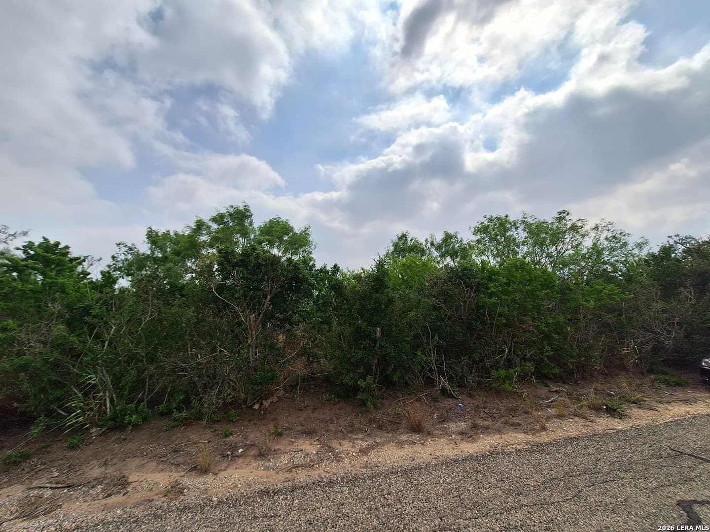 21.3 acres in Karnes County - photo 13
