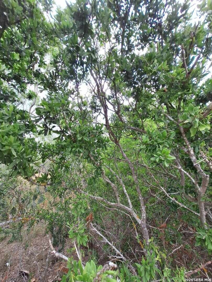 21.3 acres in Karnes County - photo 16