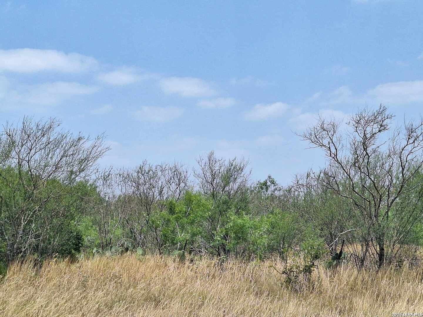 21.3 acres in Karnes County - photo 7