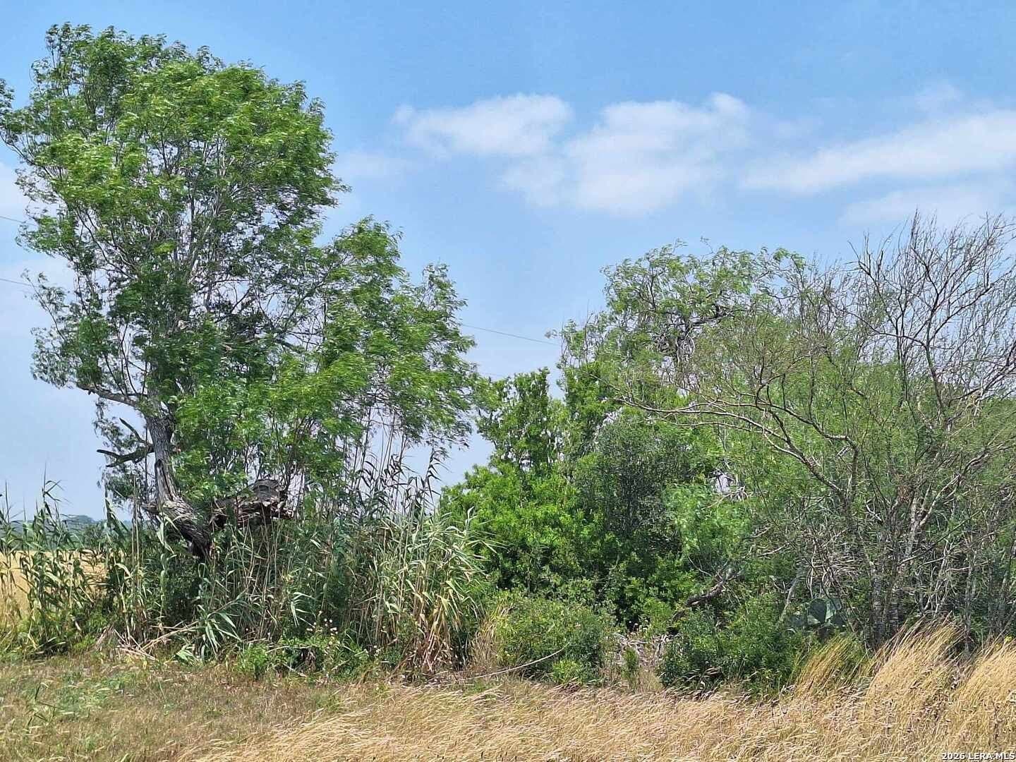 21.3 acres in Karnes County featured view