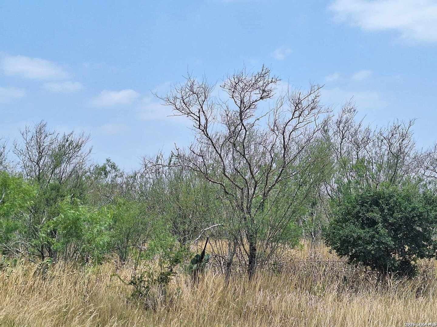 21.3 acres in Karnes County - photo 6