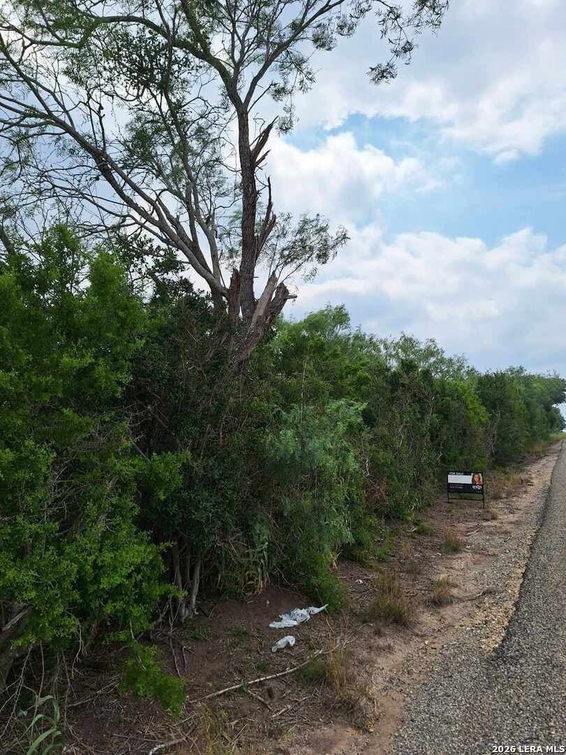 21.3 acres in Karnes County - photo 14