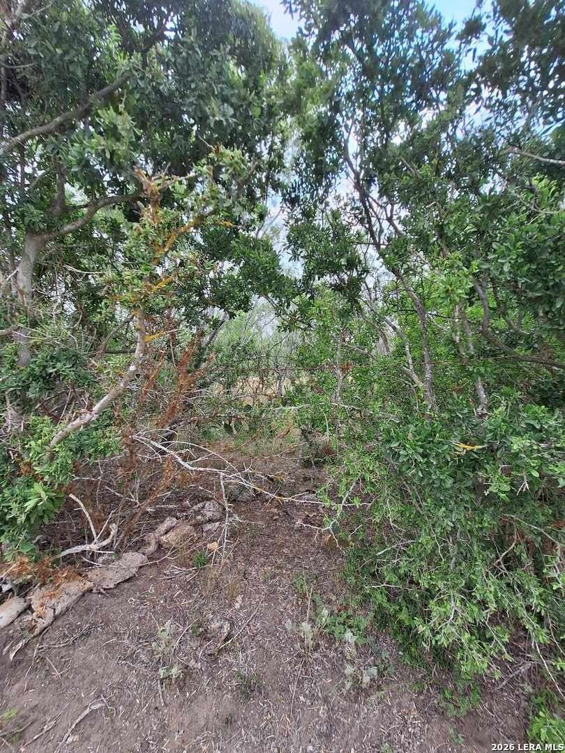 21.3 acres in Karnes County - photo 15