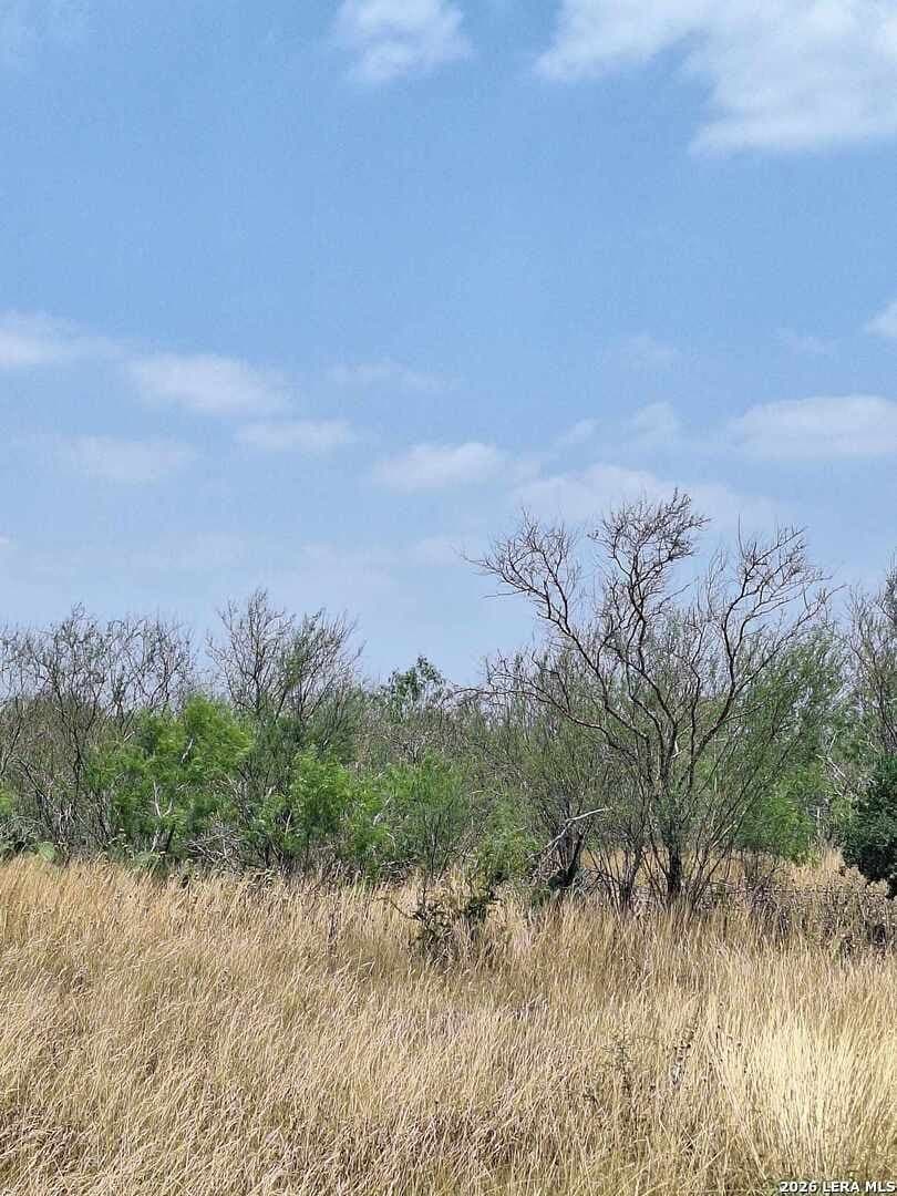 21.3 acres in Karnes County - photo 8
