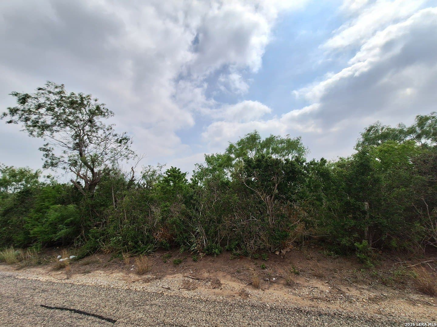 21.3 acres in Karnes County - photo 11