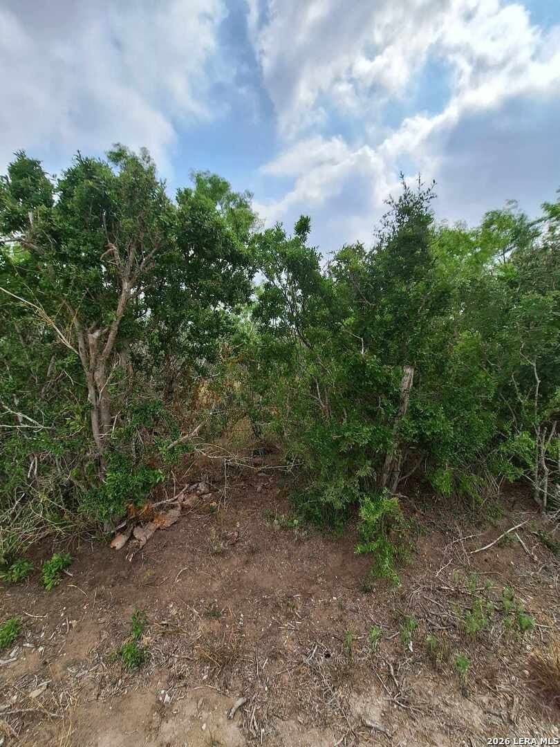 21.3 acres in Karnes County - photo 19
