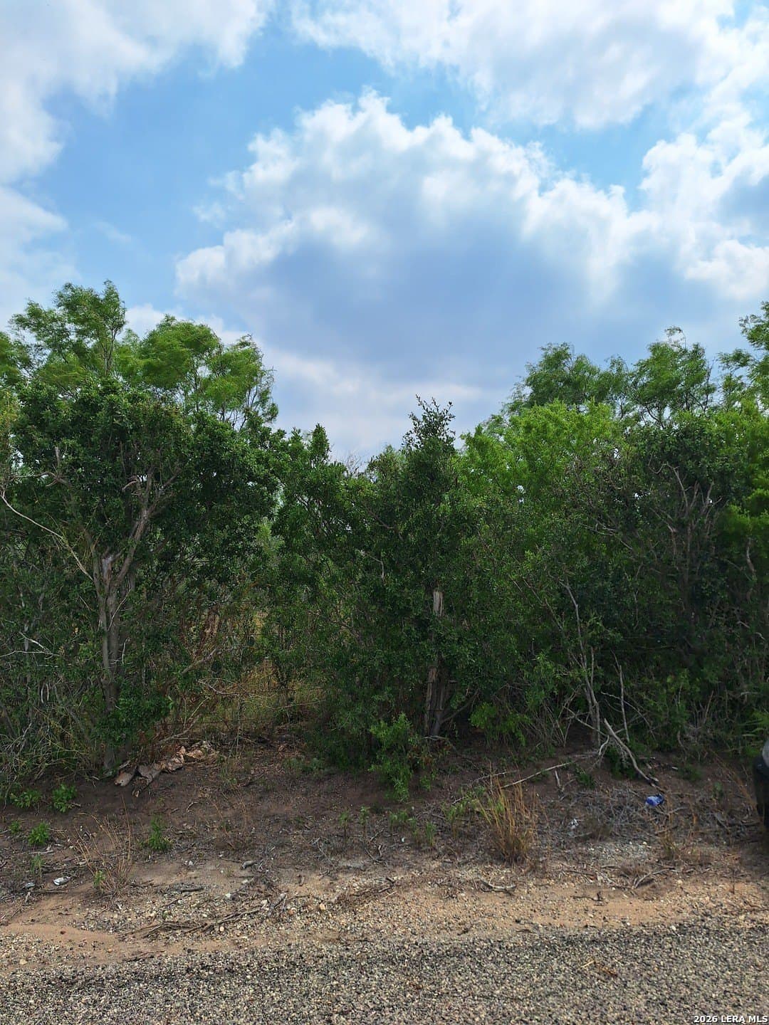 21.3 acres in Karnes County - photo 10