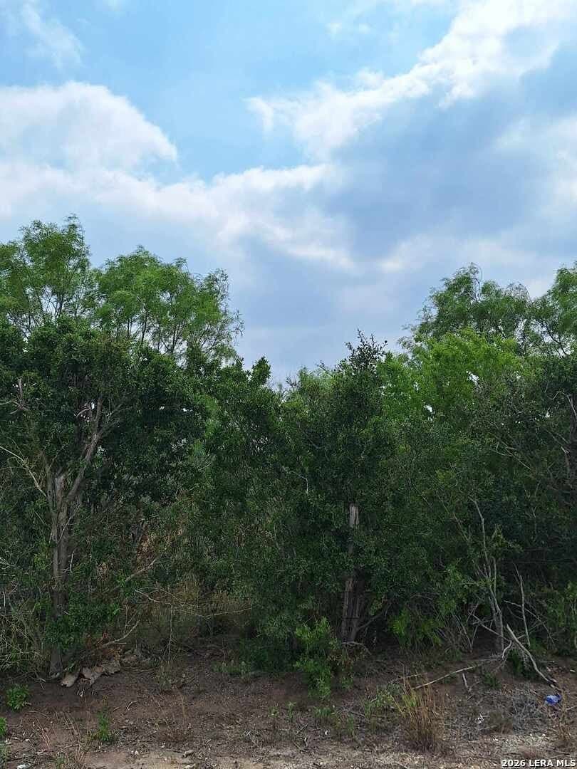 21.3 acres in Karnes County gallery image 2