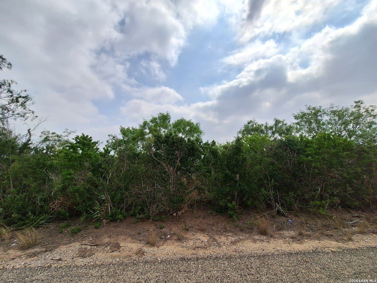 21.3 acres in Karnes County - photo 12