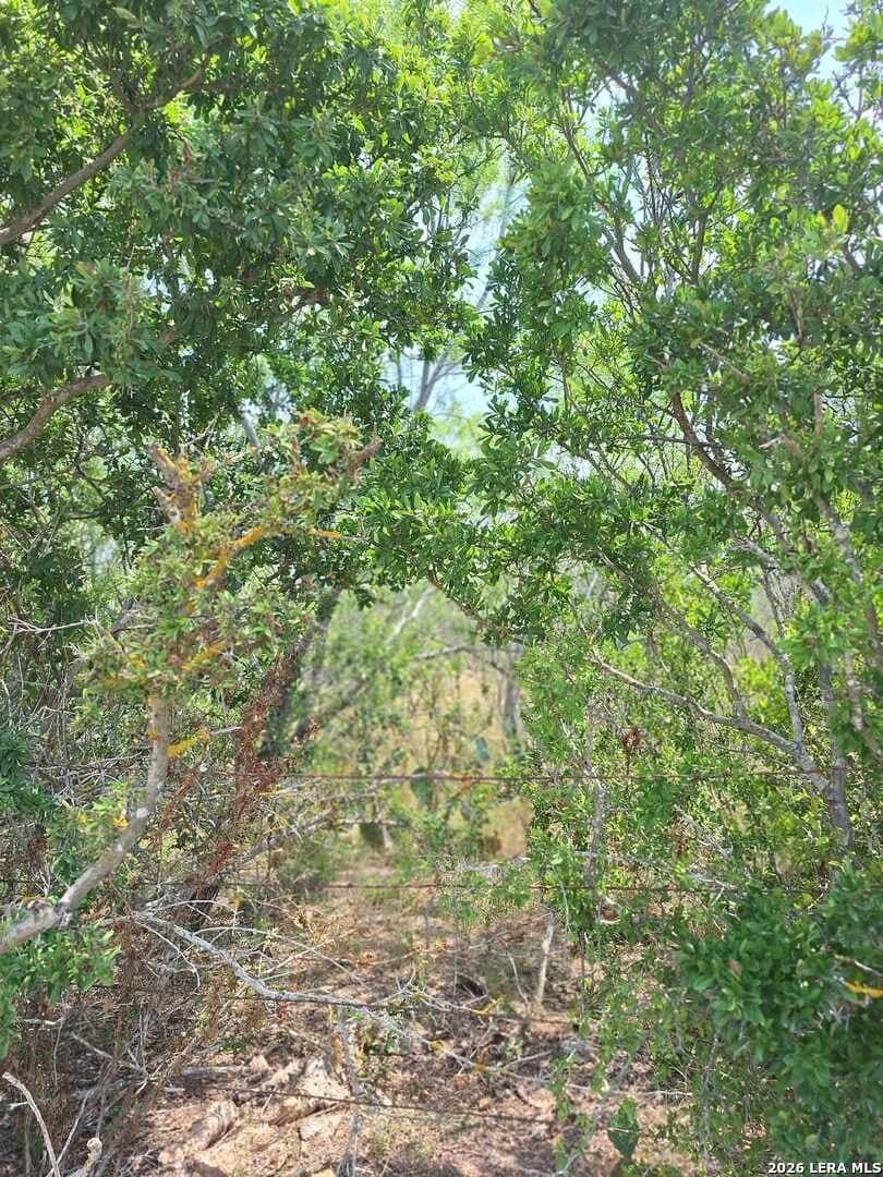 21.3 acres in Karnes County gallery image 4